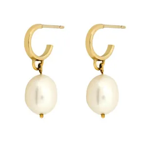9ct Gold Pearl Drop Huggie Hoop Earrings