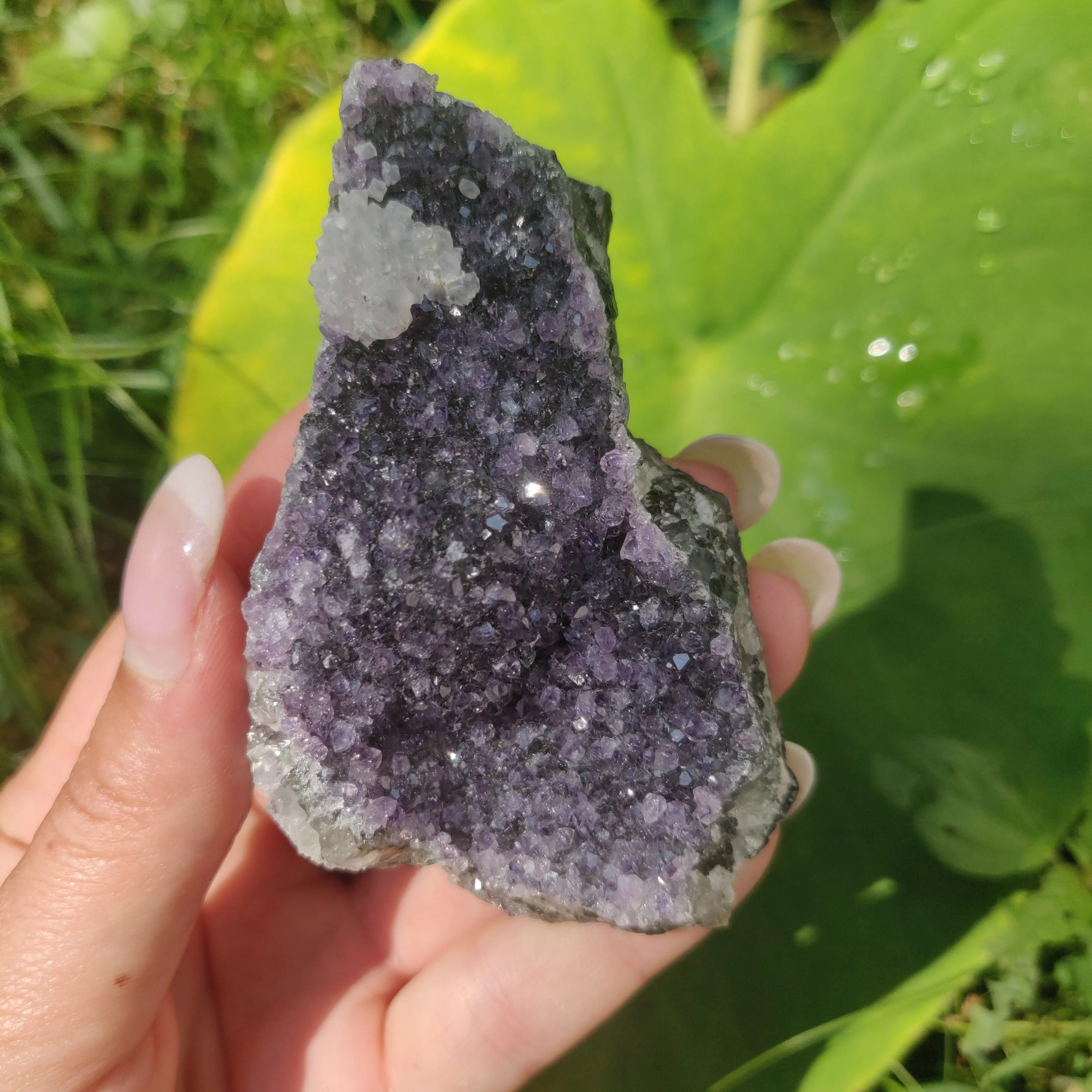Amethyst Cluster (#9C)