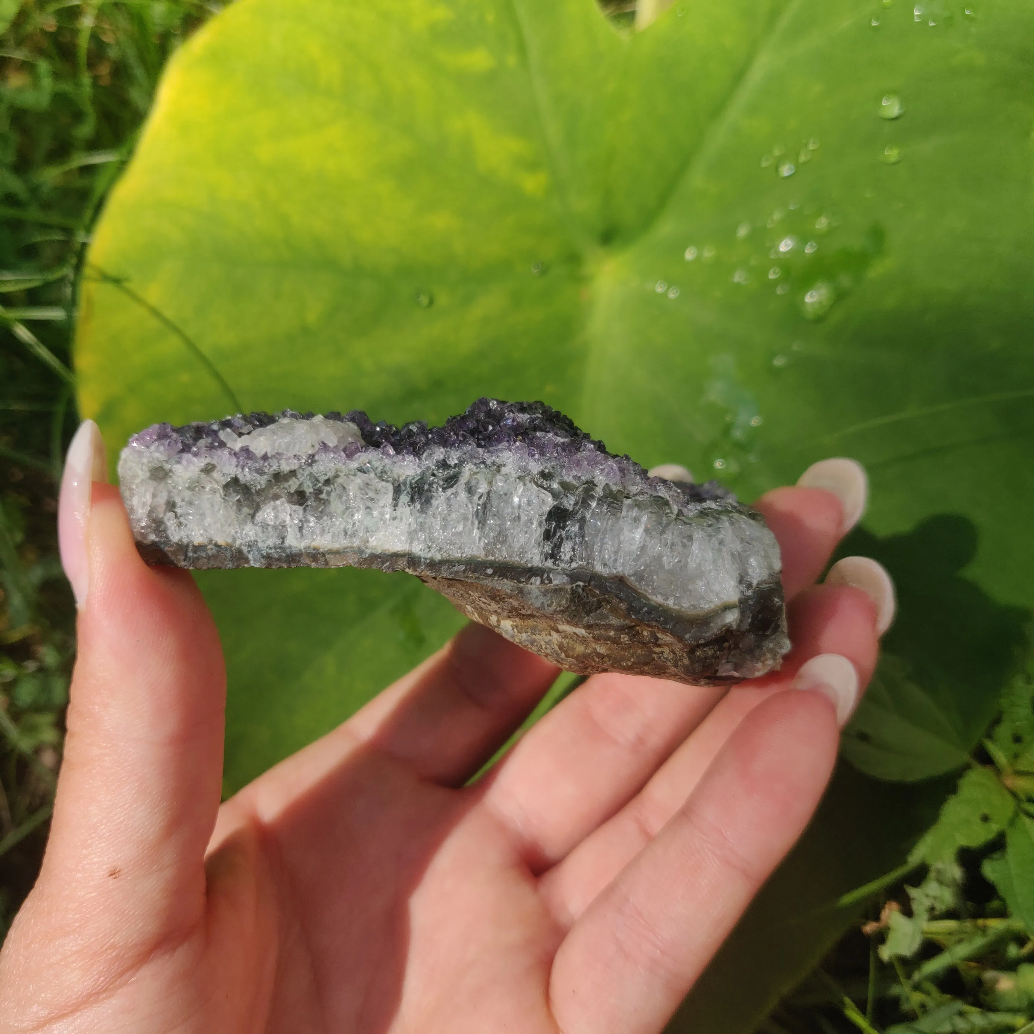 Amethyst Cluster (#9C)