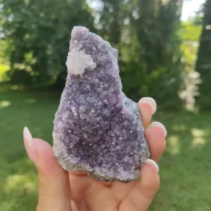 Amethyst Cluster (#9C)