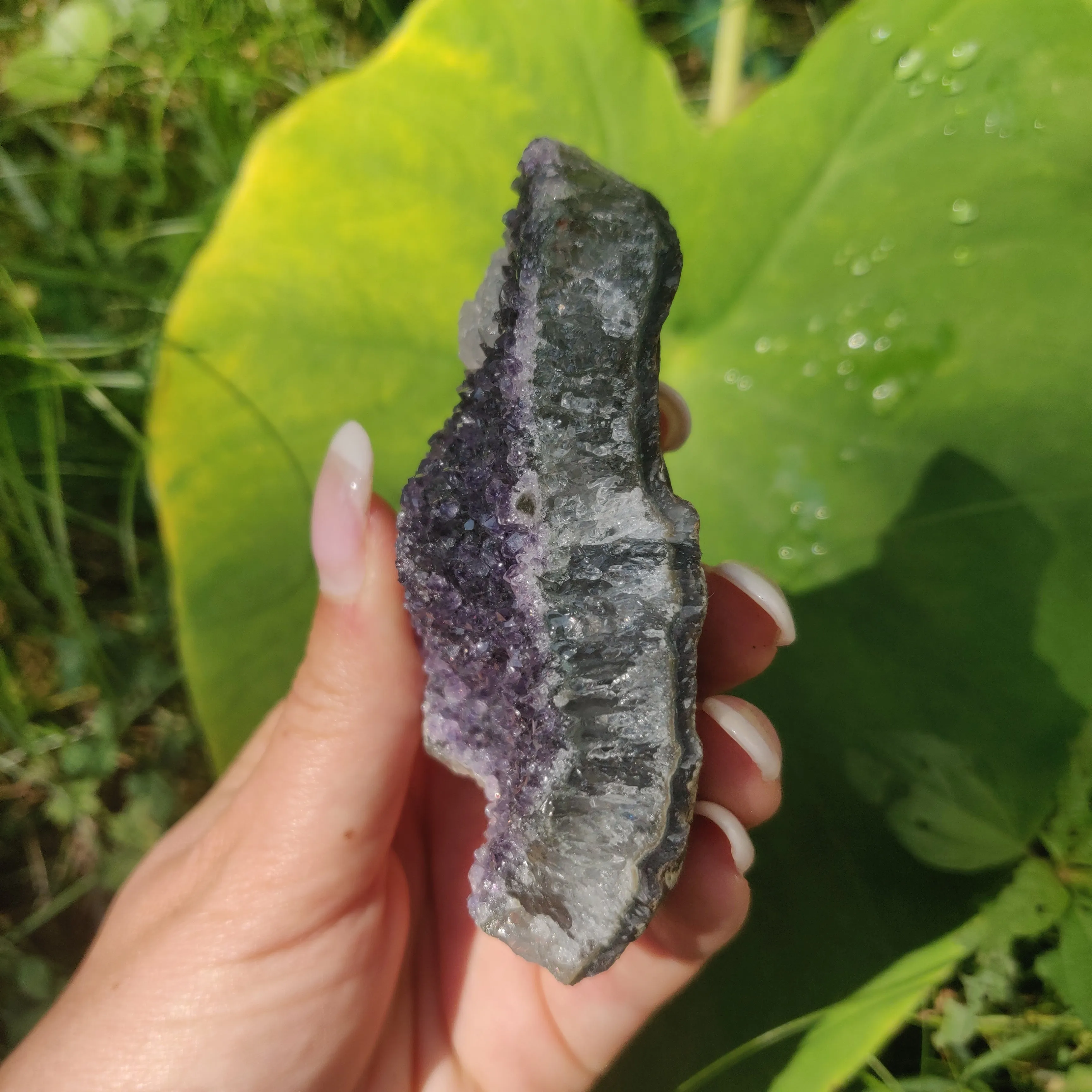 Amethyst Cluster (#9C)