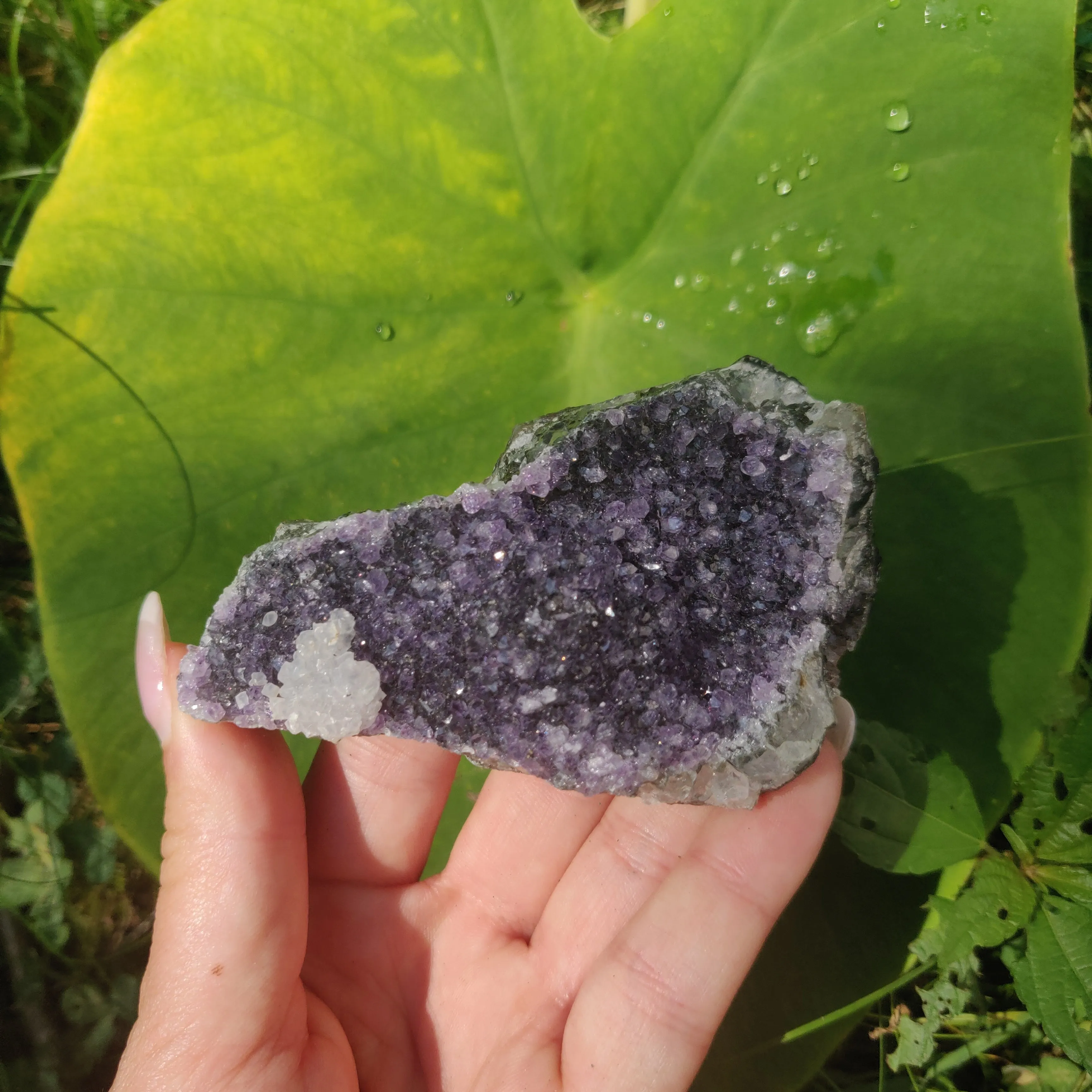 Amethyst Cluster (#9C)