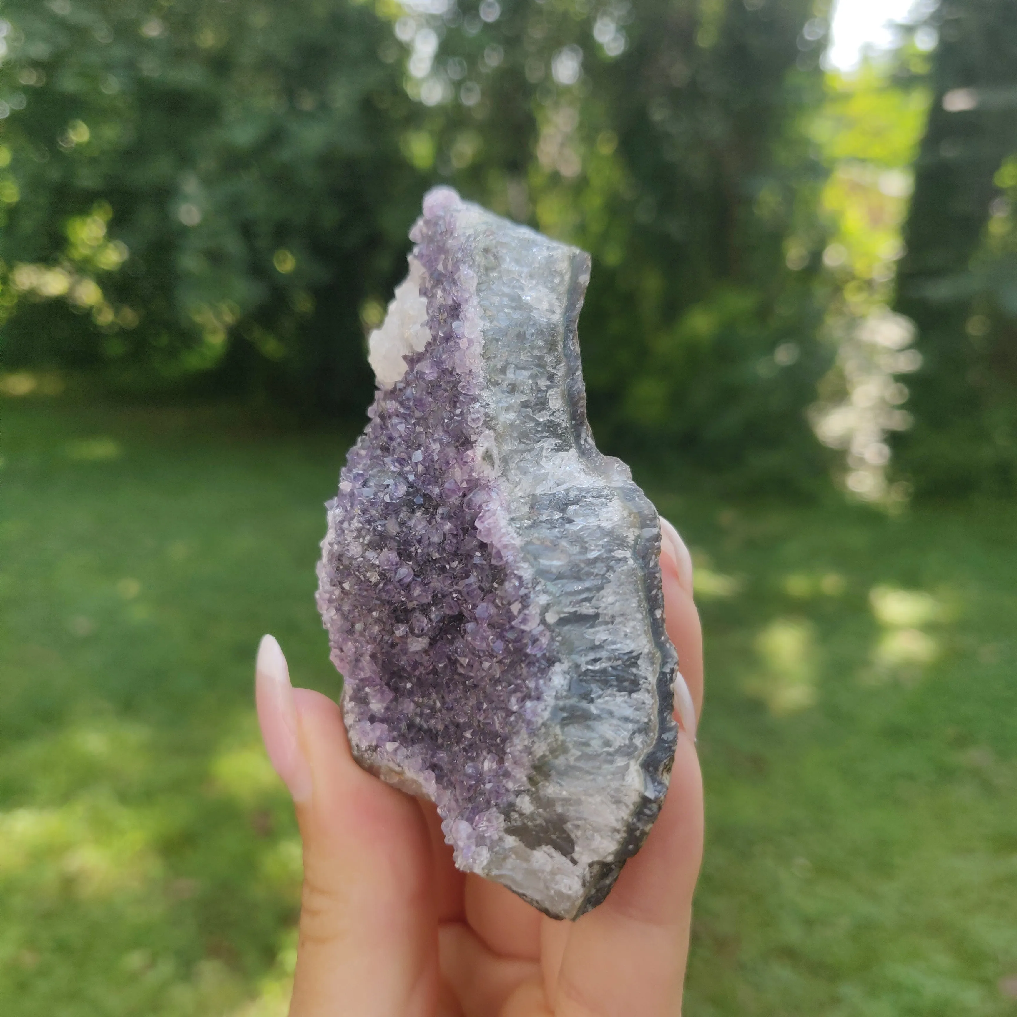 Amethyst Cluster (#9C)