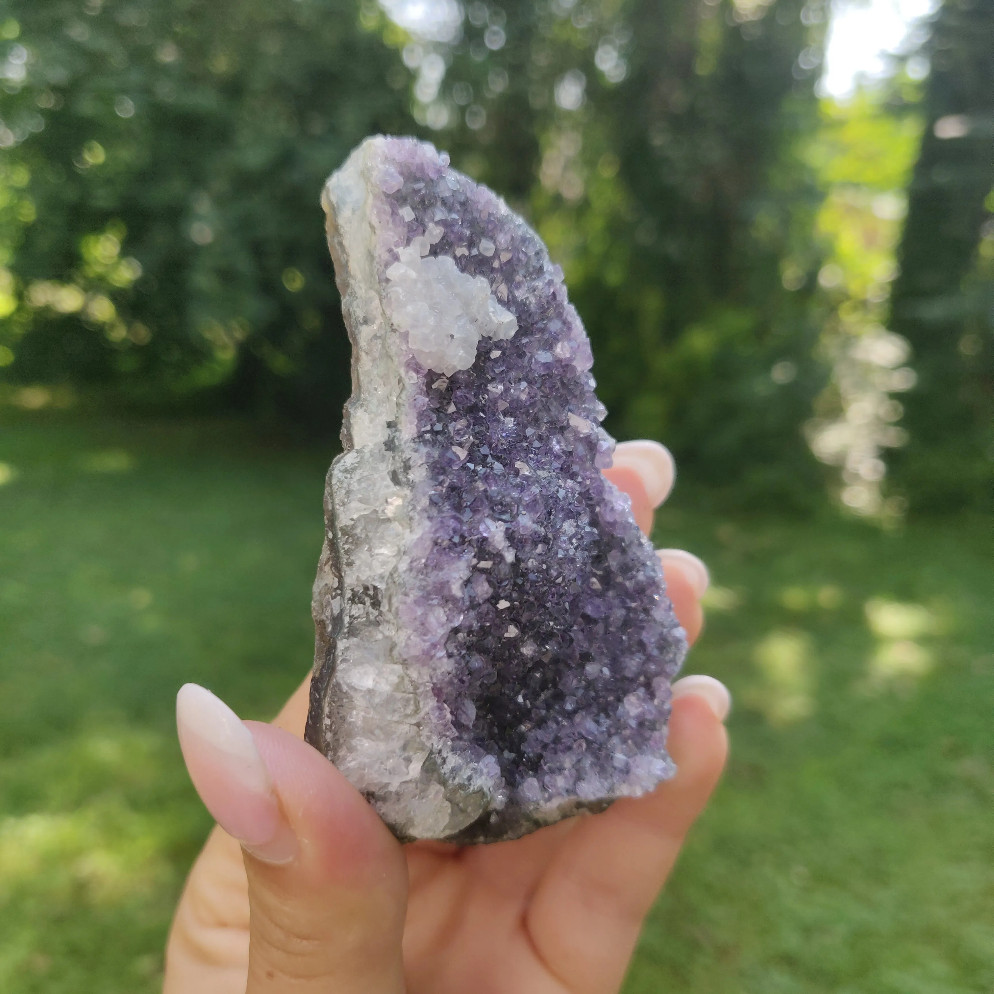 Amethyst Cluster (#9C)