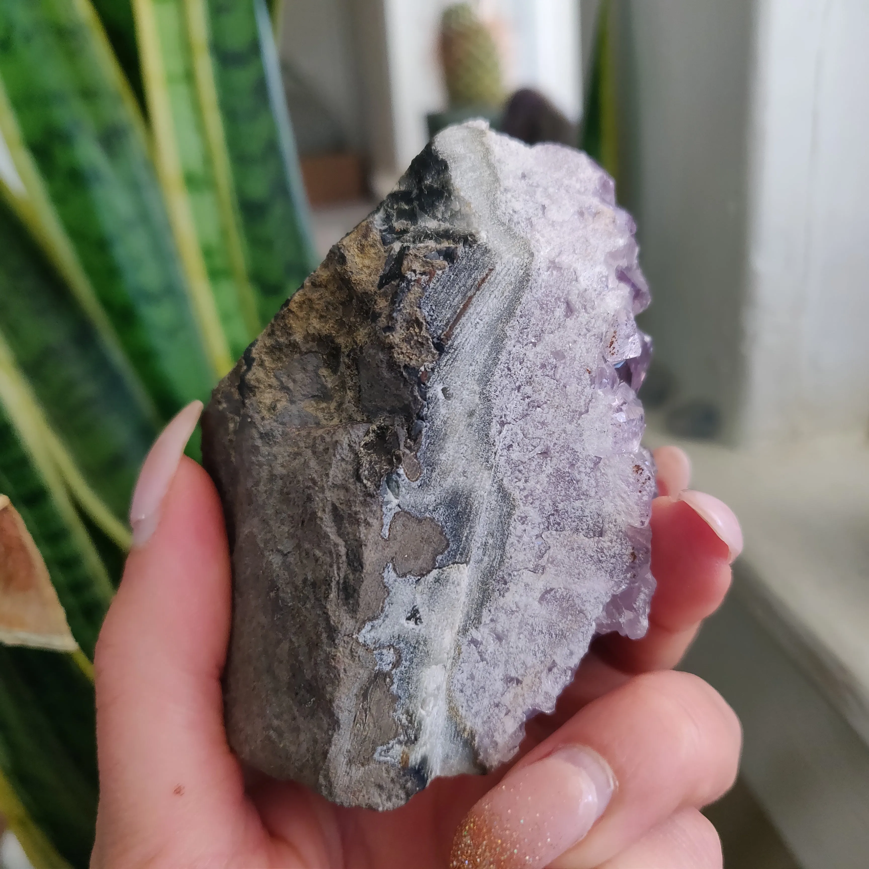 Amethyst Geode Free Form, Cut Base (#18)