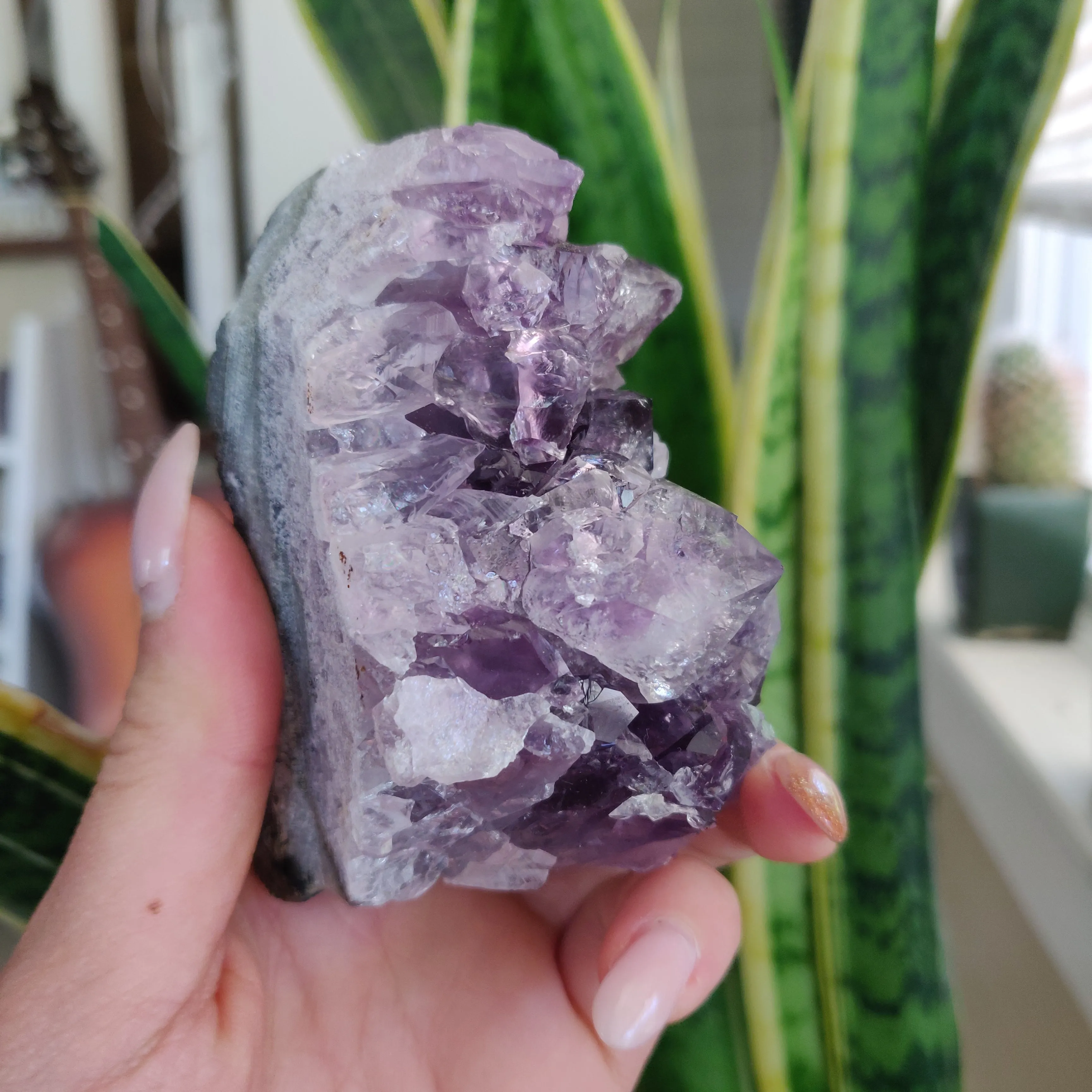 Amethyst Geode Free Form, Cut Base (#18)