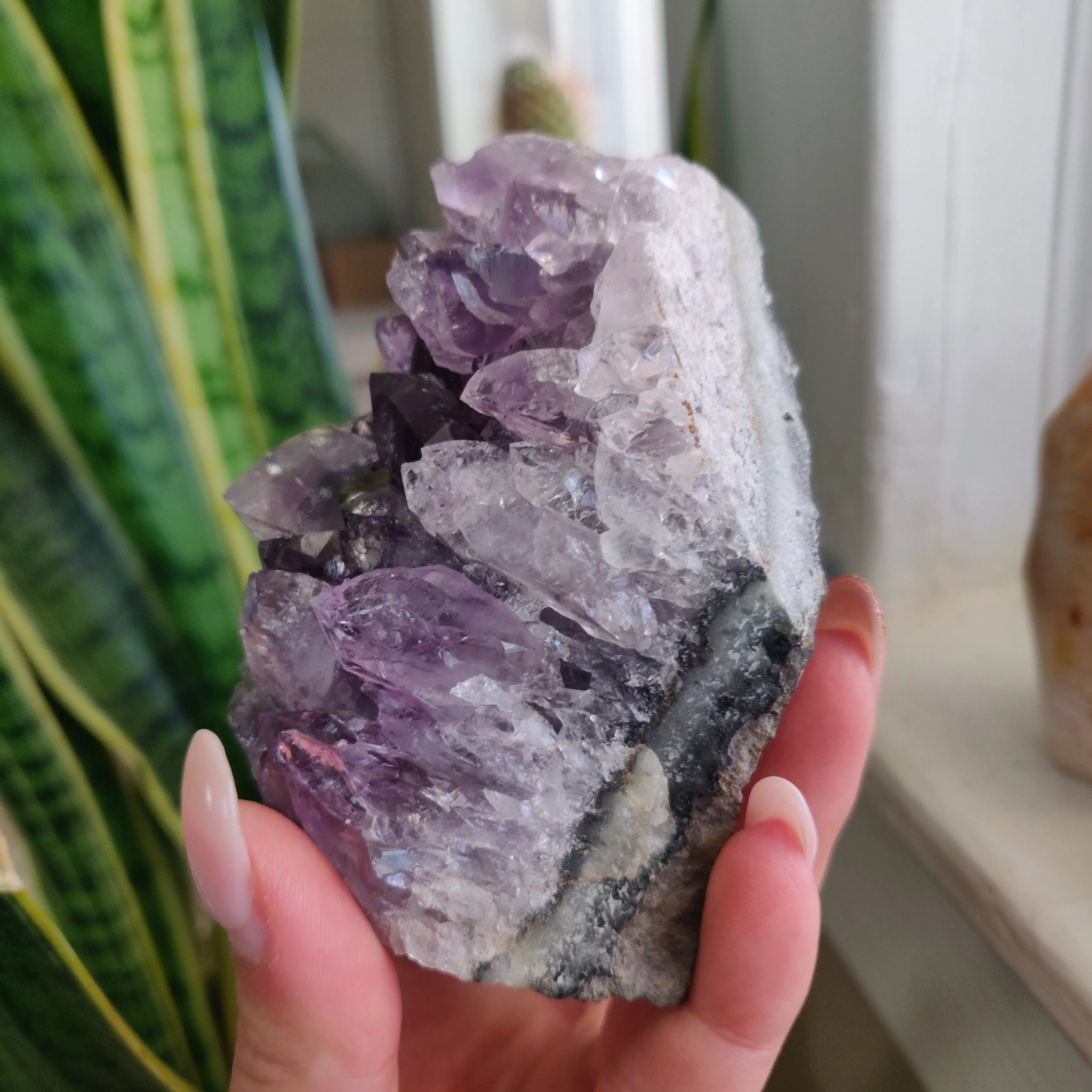 Amethyst Geode Free Form, Cut Base (#18)
