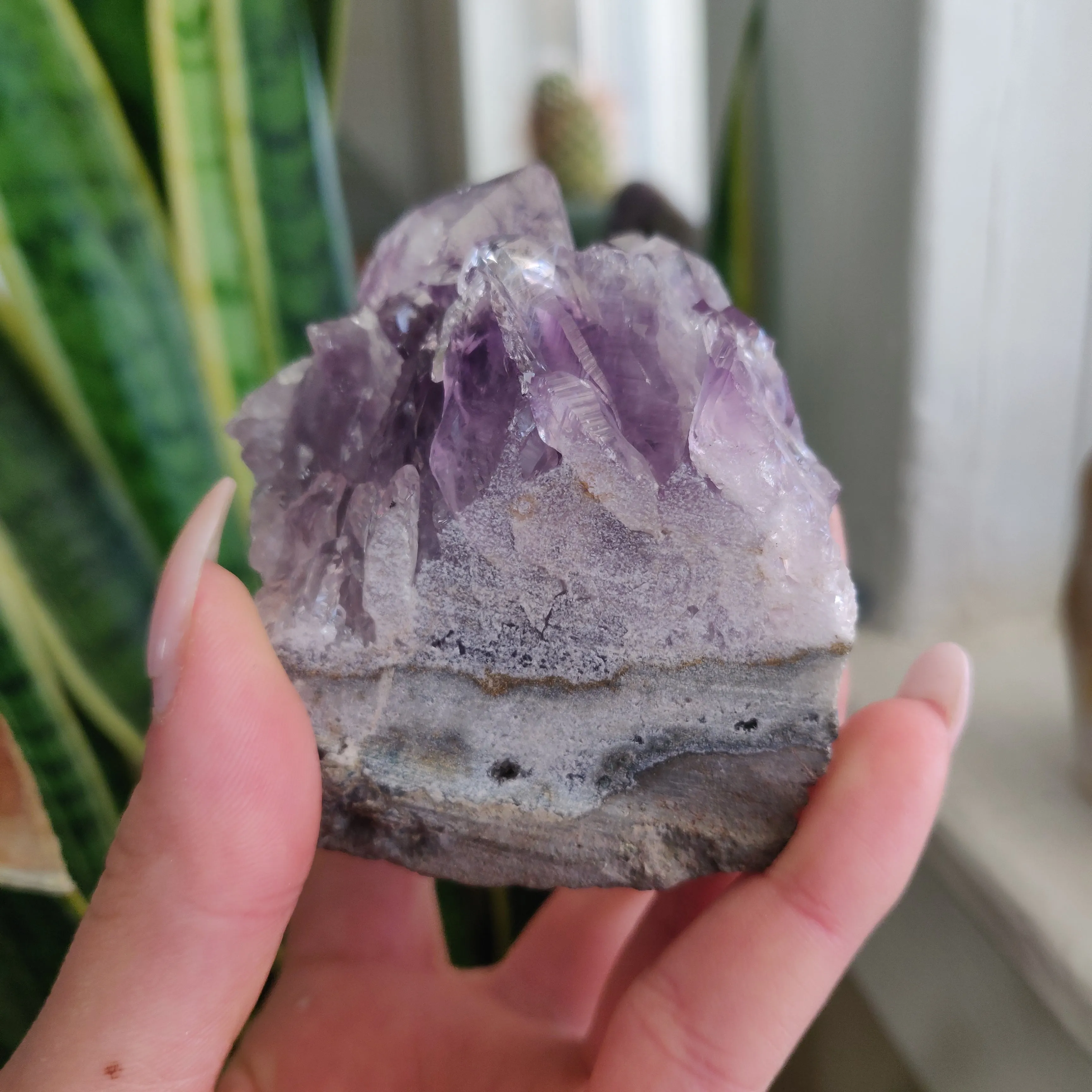 Amethyst Geode Free Form, Cut Base (#18)