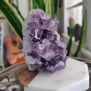 Amethyst Geode Free Form, Cut Base (#18)