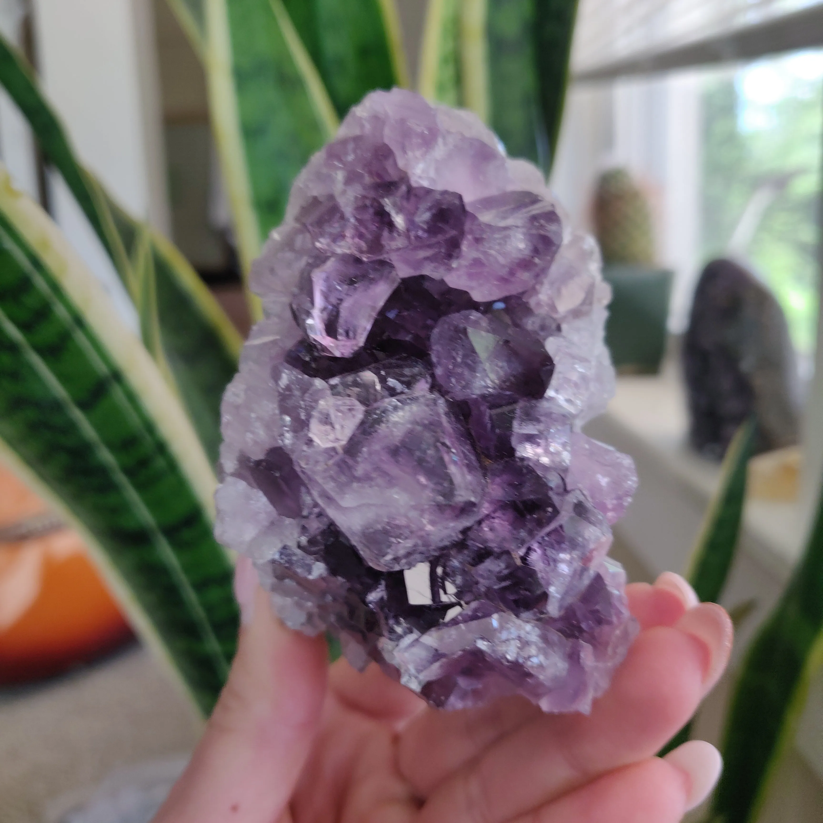 Amethyst Geode Free Form, Cut Base (#18)
