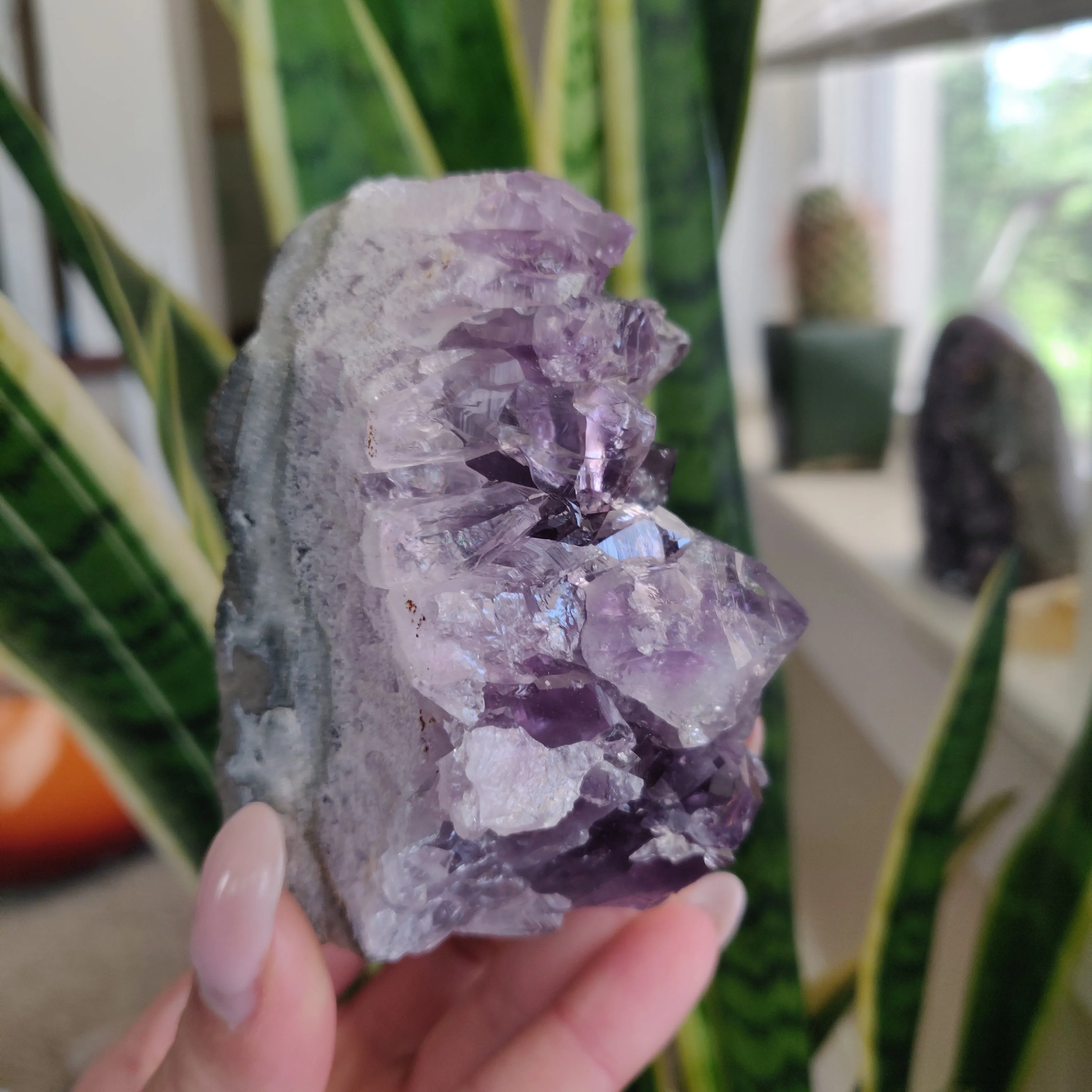Amethyst Geode Free Form, Cut Base (#18)