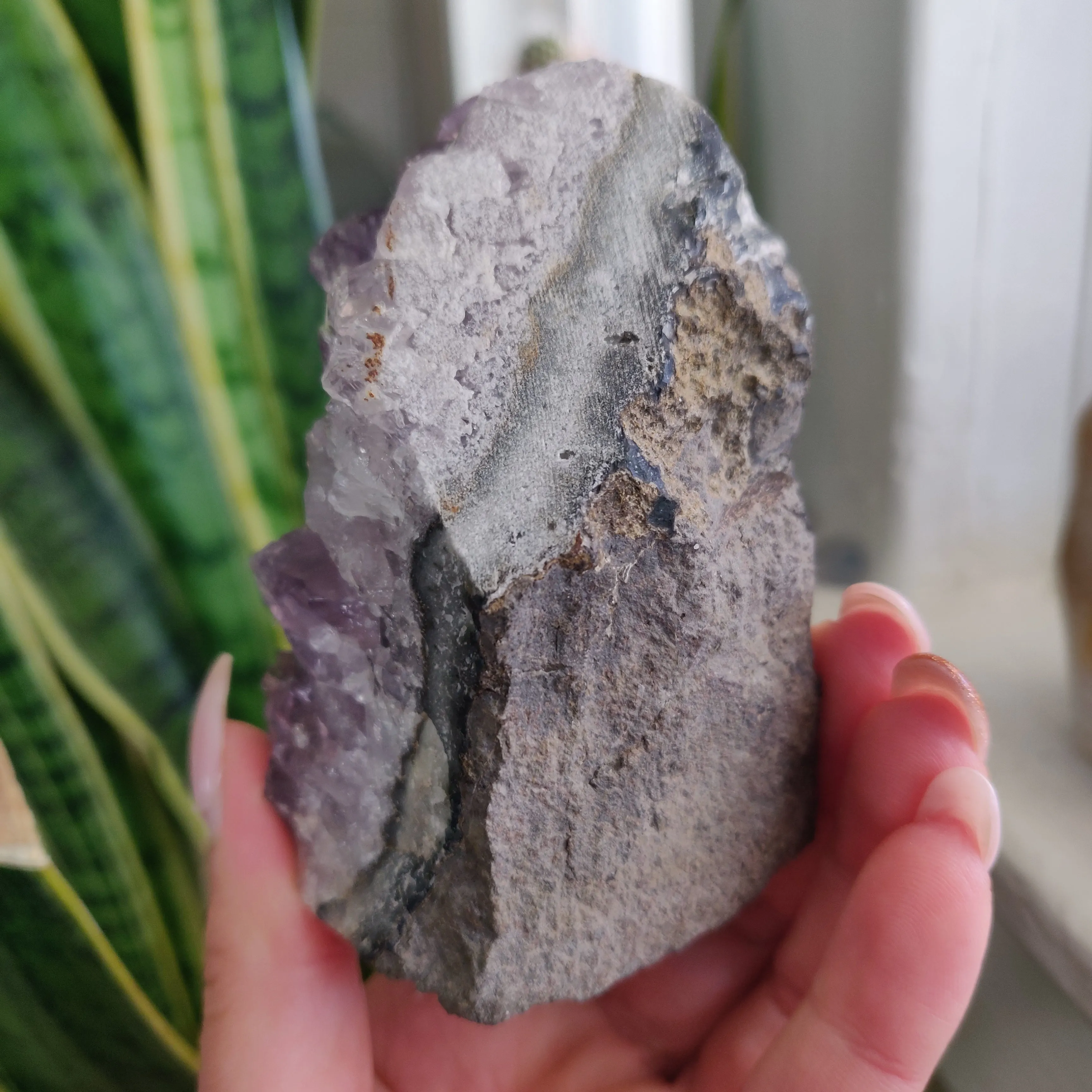 Amethyst Geode Free Form, Cut Base (#18)