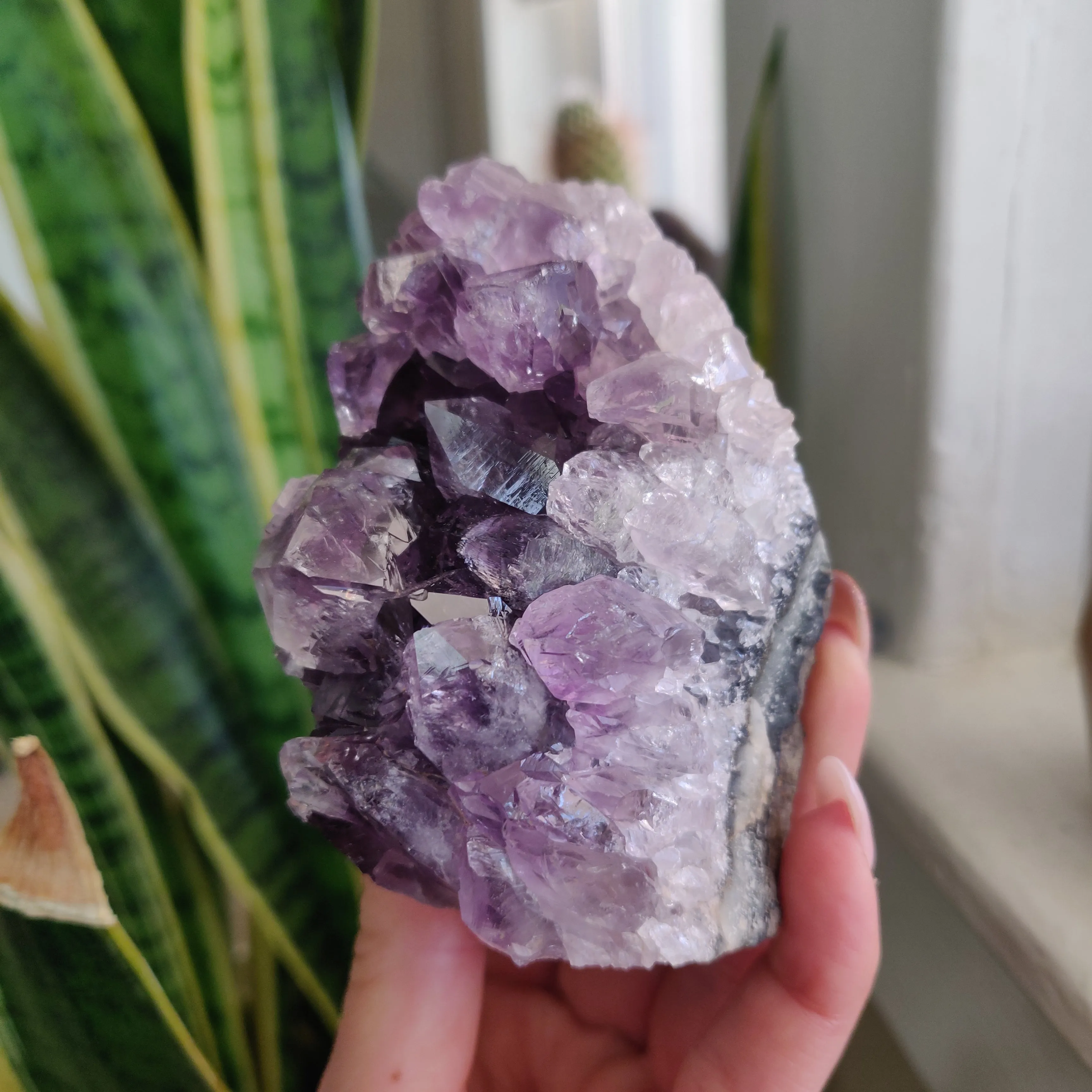Amethyst Geode Free Form, Cut Base (#18)