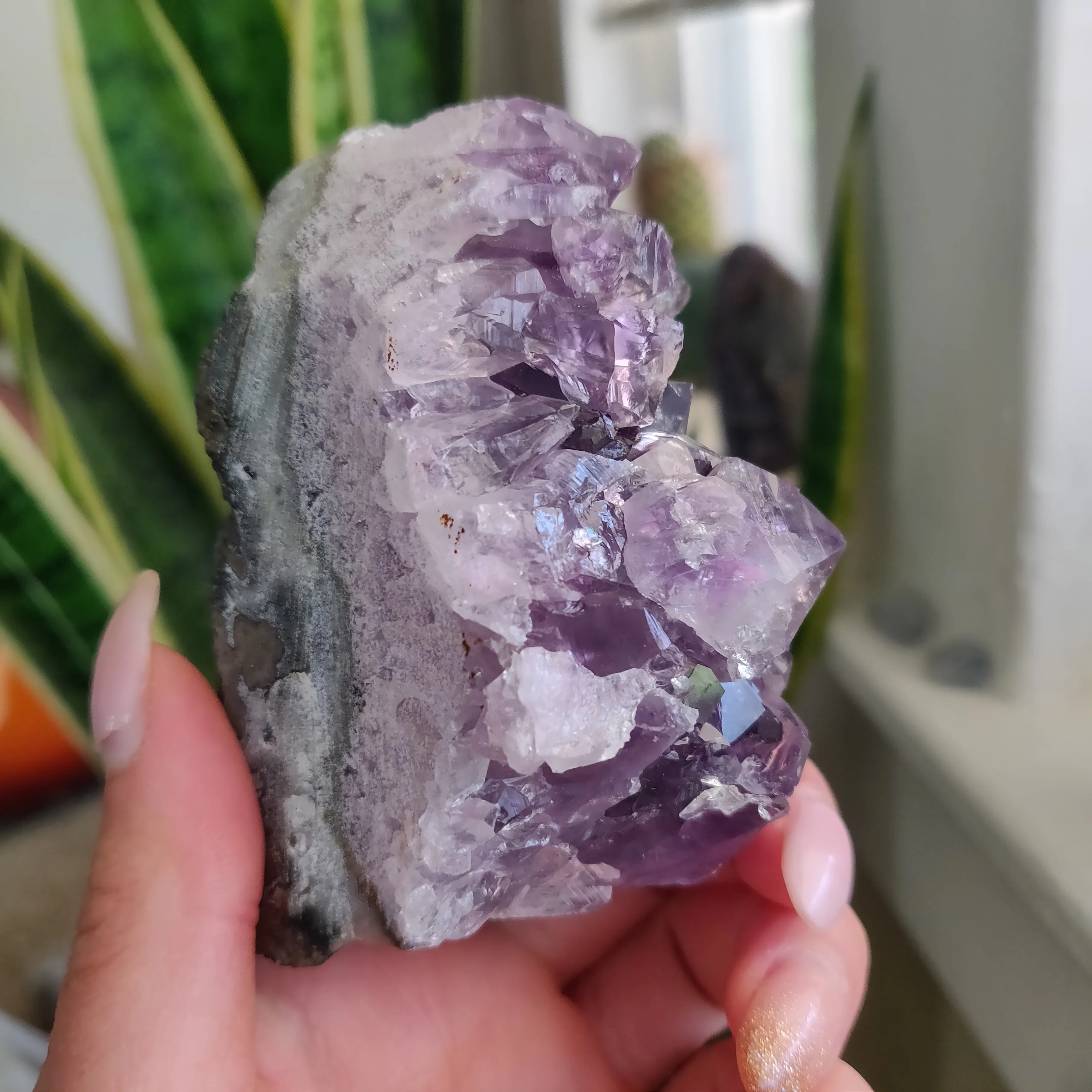 Amethyst Geode Free Form, Cut Base (#18)