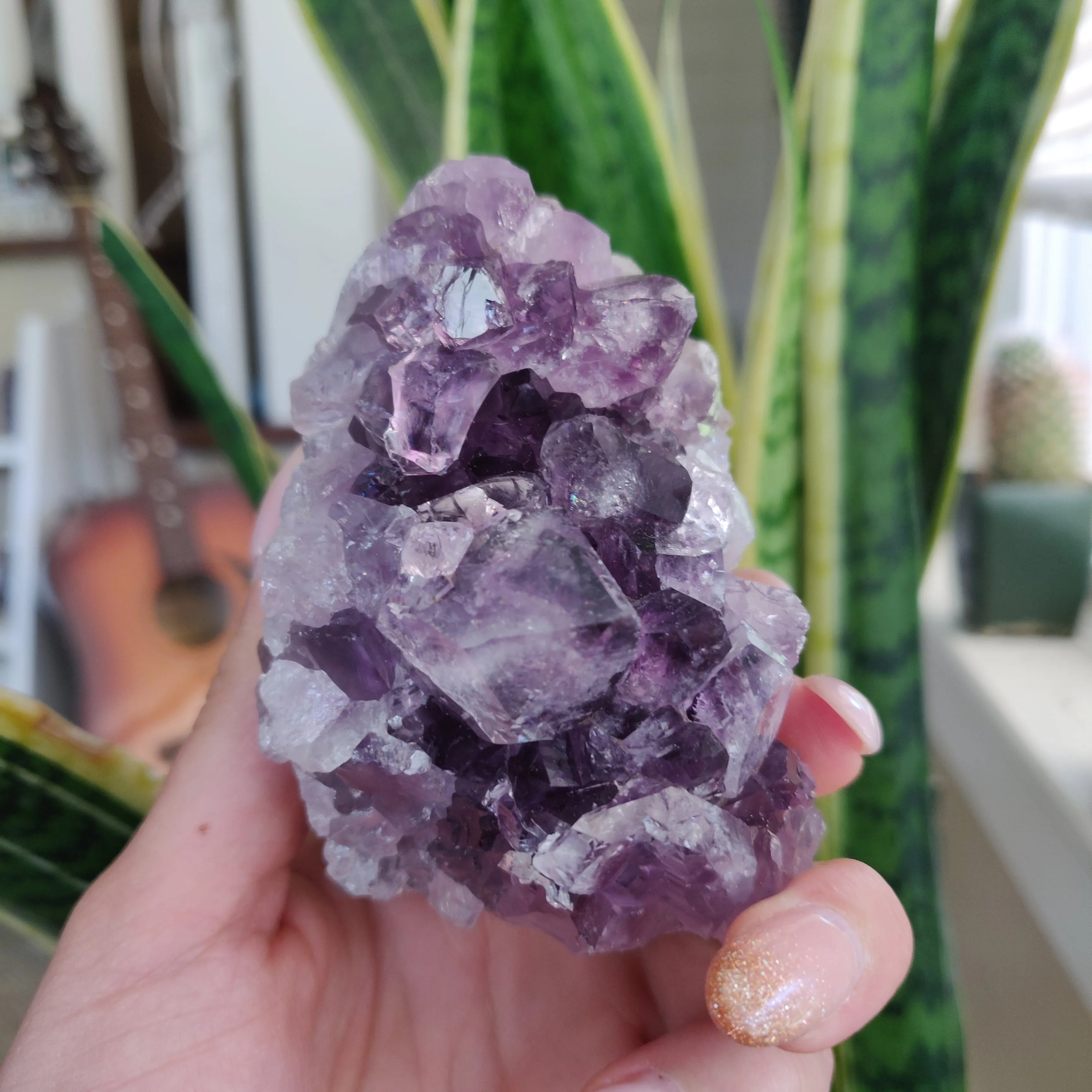Amethyst Geode Free Form, Cut Base (#18)
