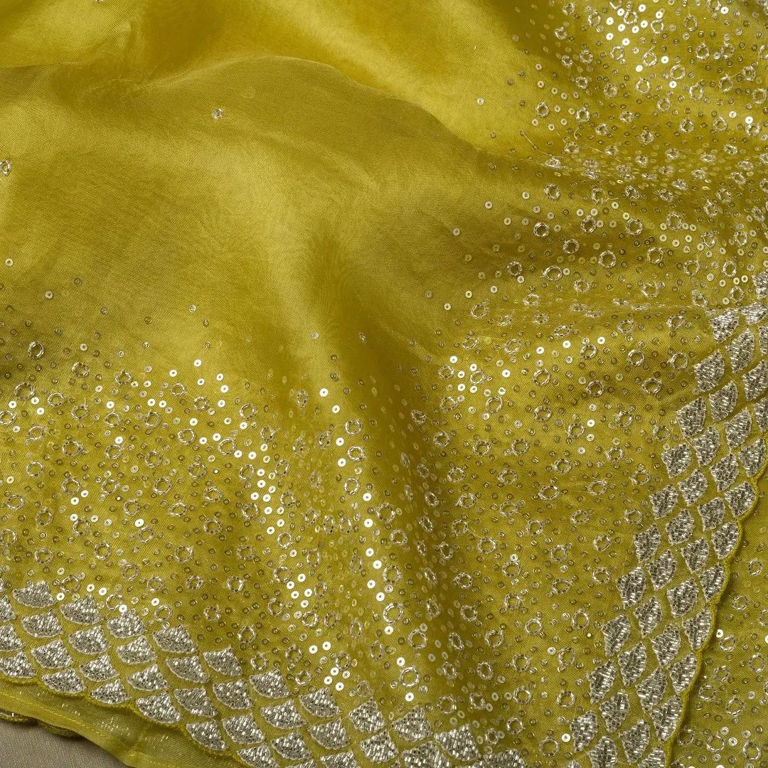 Beautiful Designer Chinon Sequence Saree