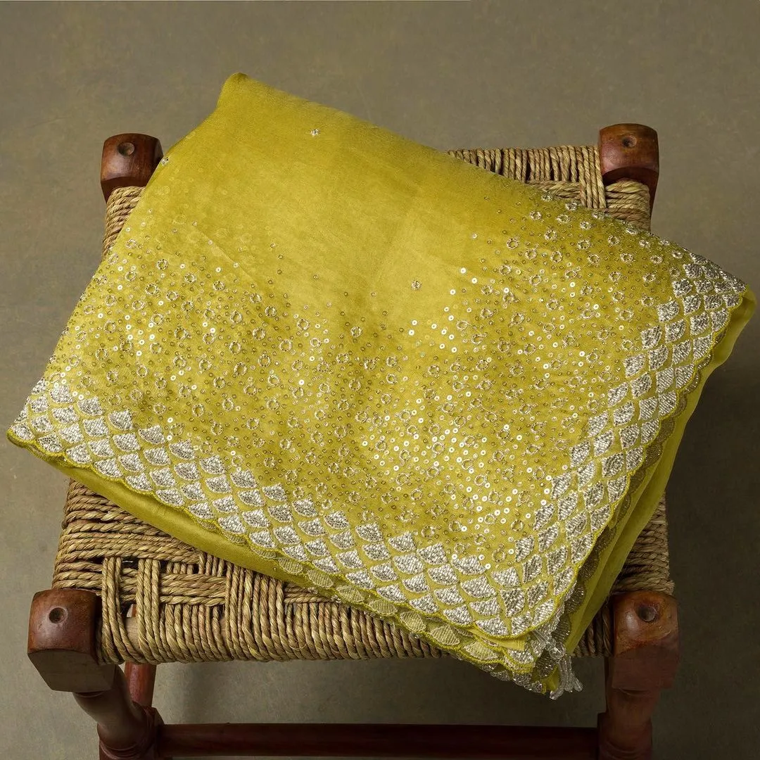 Beautiful Designer Chinon Sequence Saree