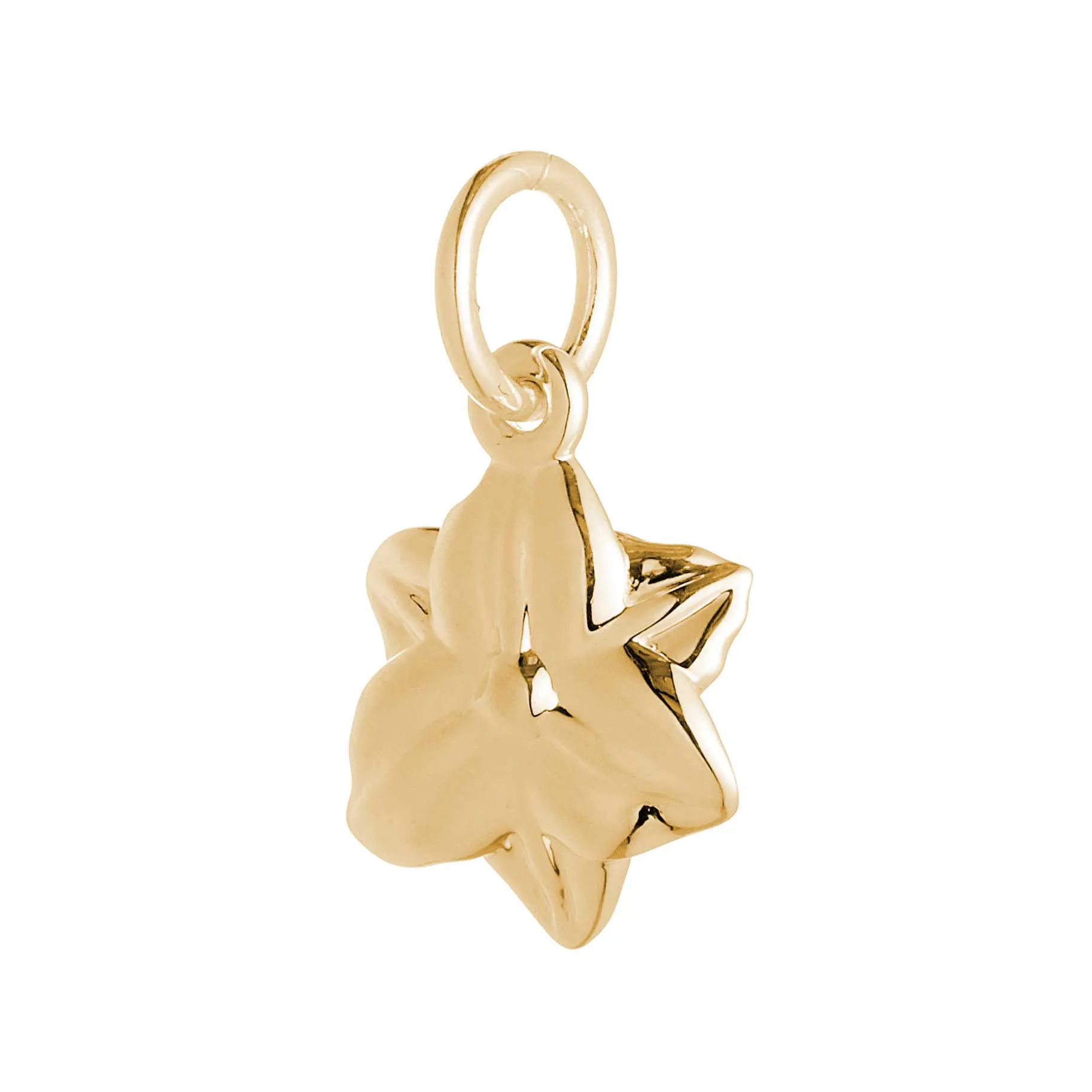 Daffodil Flower Gold Vermeil Silver Charm