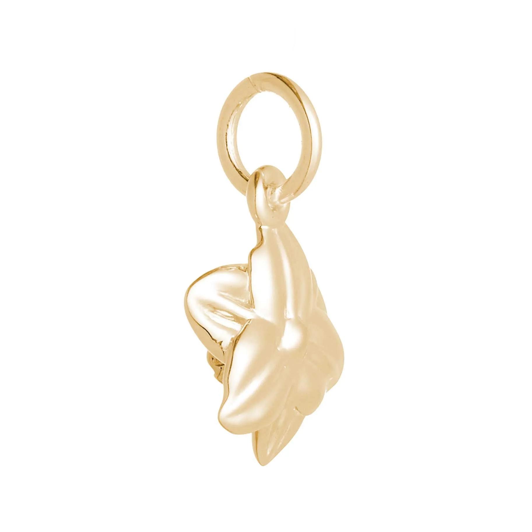 Daffodil Flower Gold Vermeil Silver Charm