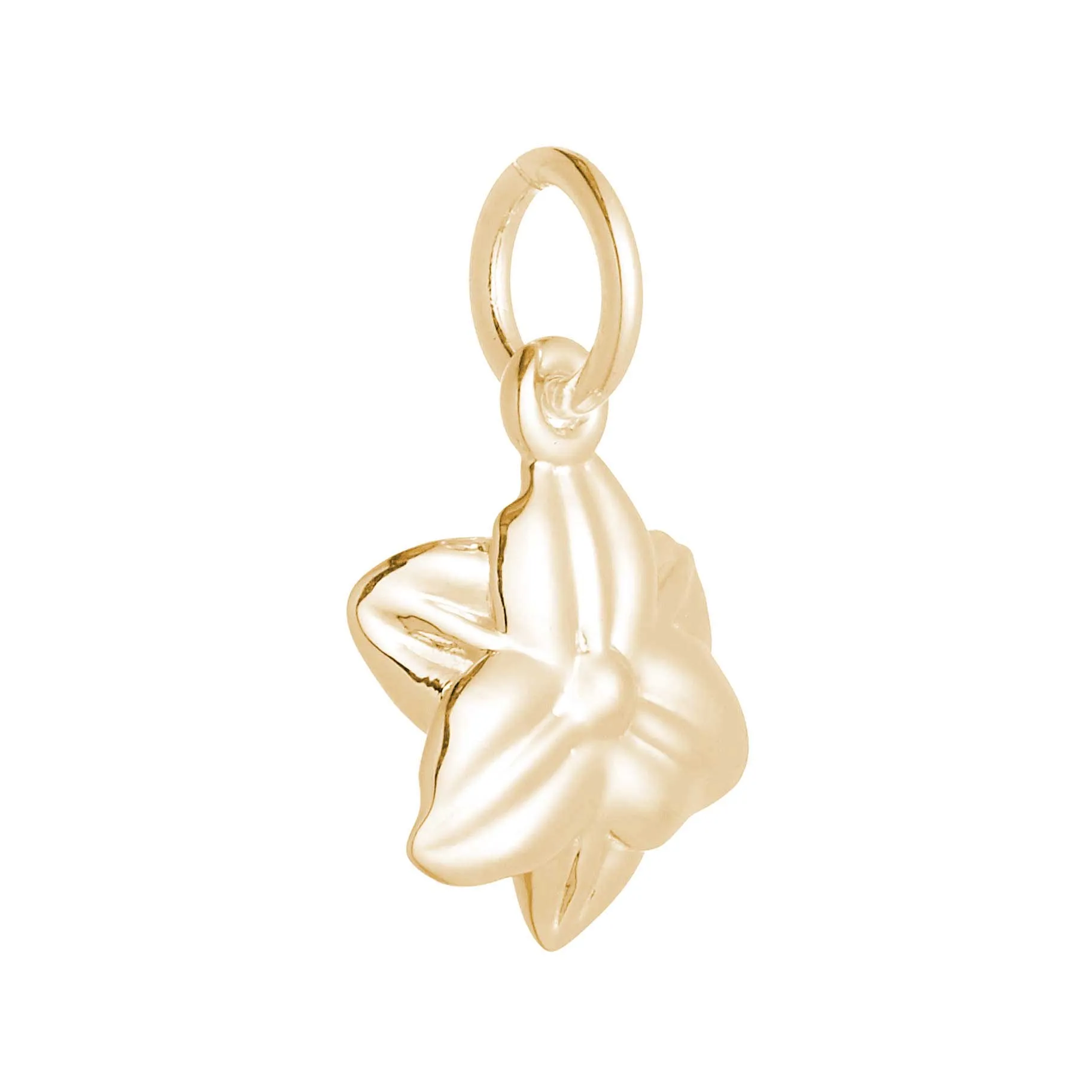 Daffodil Flower Gold Vermeil Silver Charm