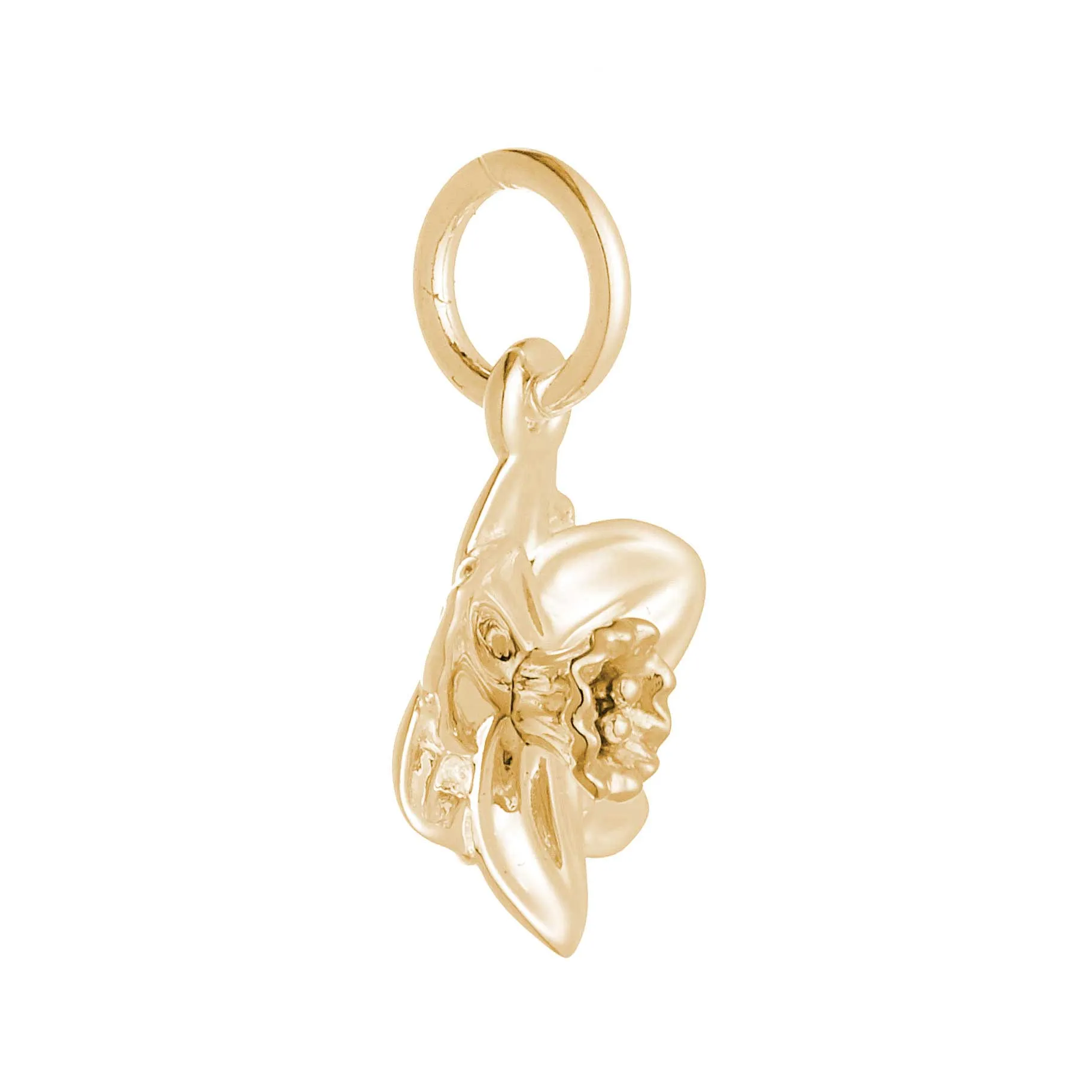 Daffodil Flower Gold Vermeil Silver Charm