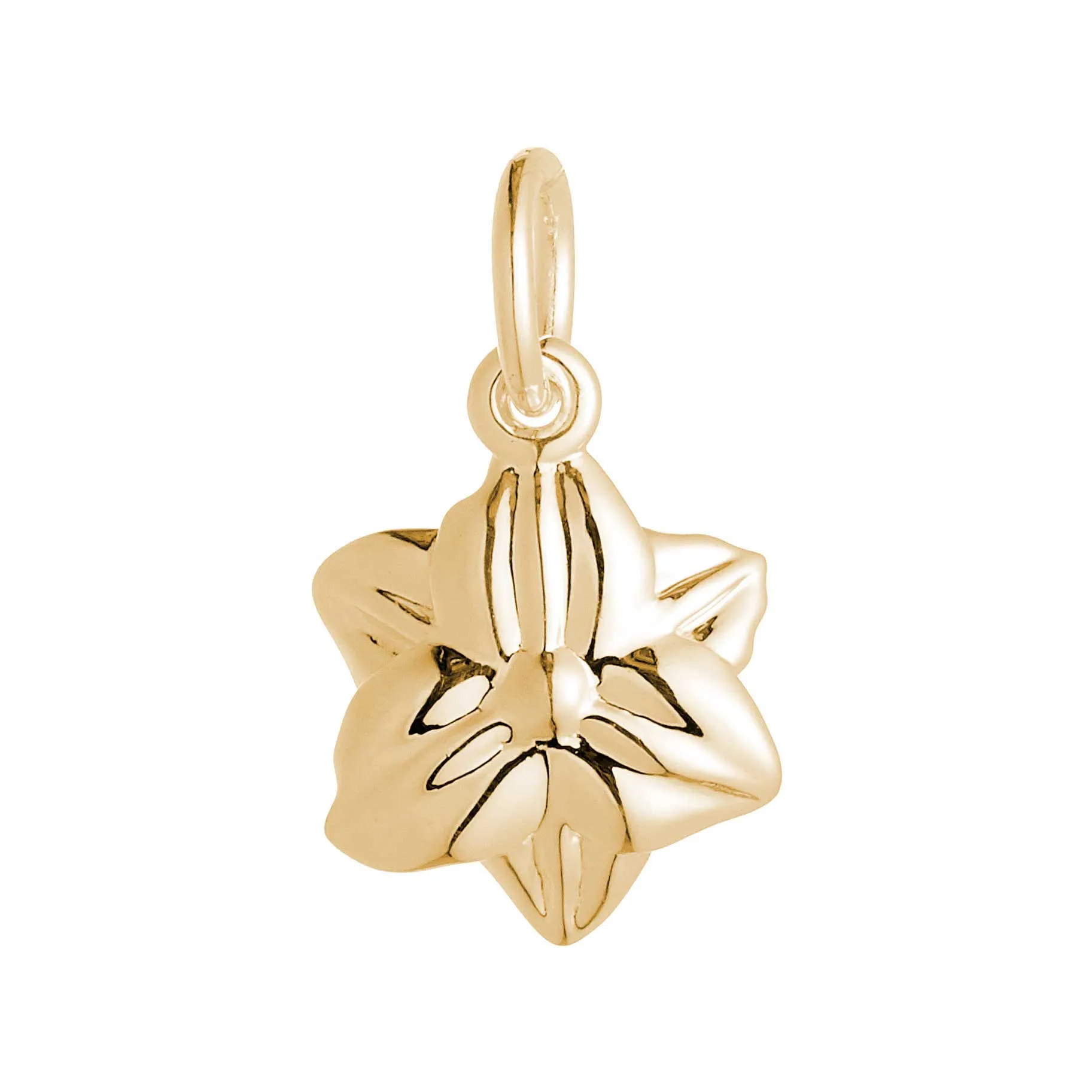 Daffodil Flower Gold Vermeil Silver Charm