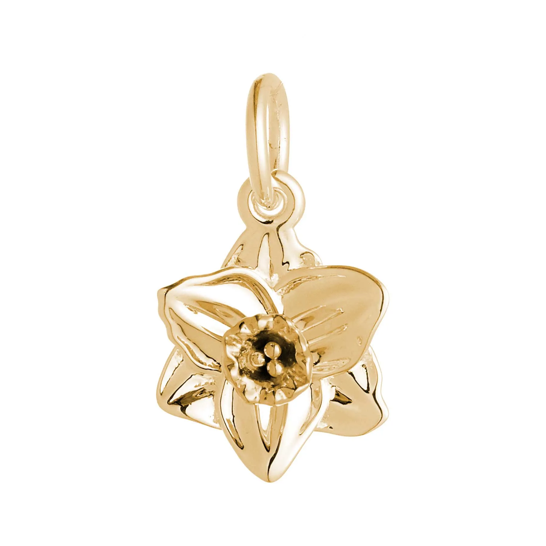 Daffodil Flower Gold Vermeil Silver Charm