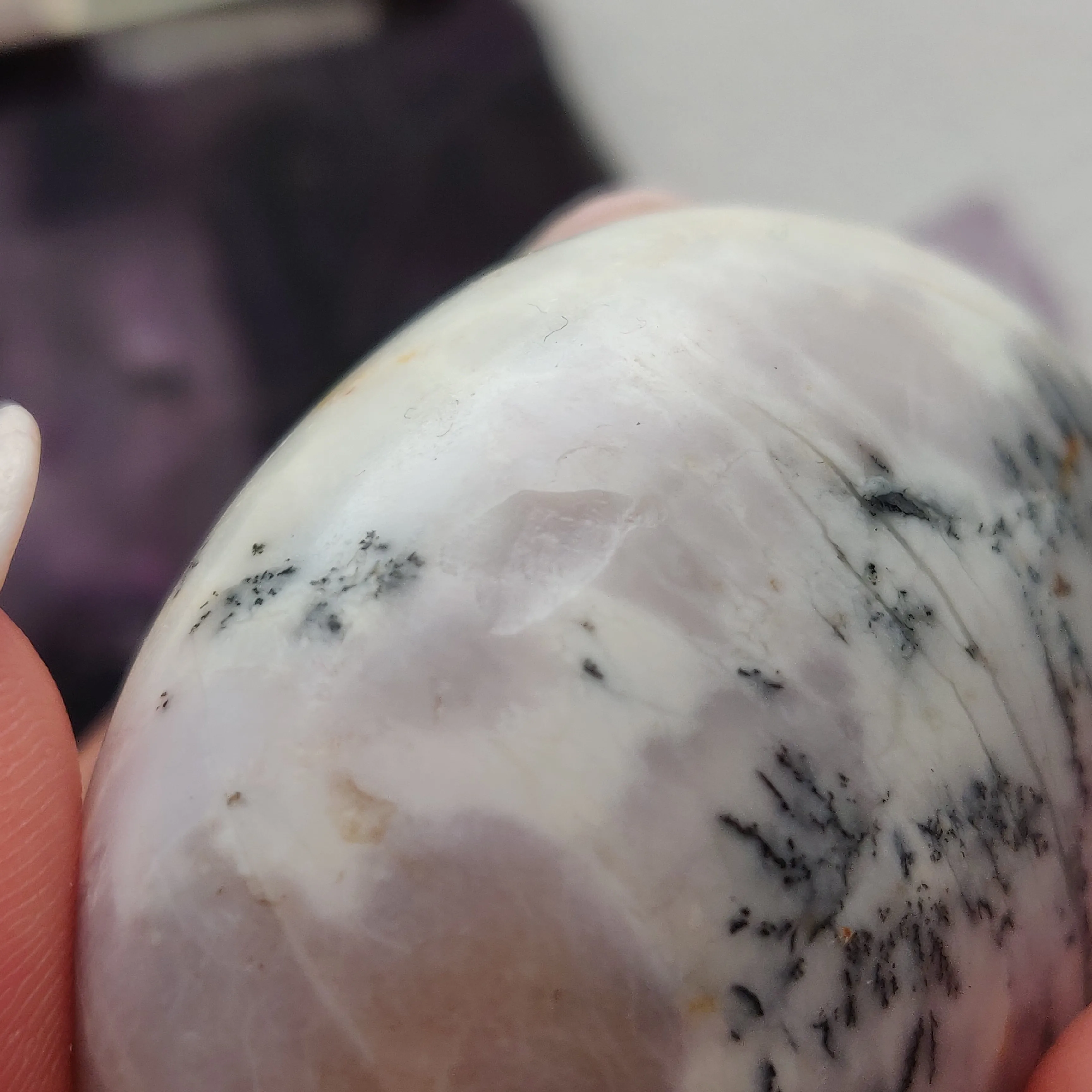 Dendritic Opal Palm Stone (#42)