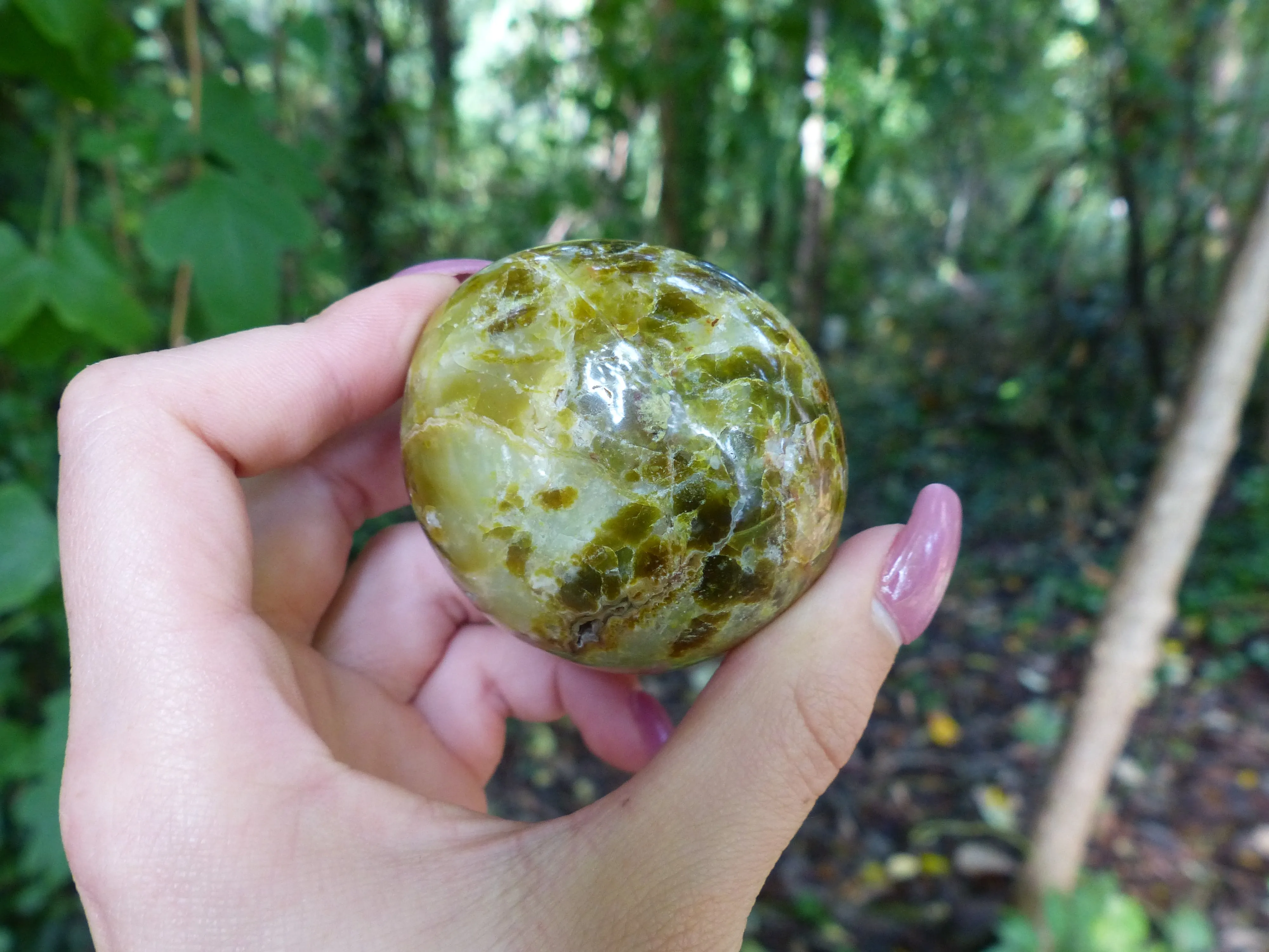 Green Opal Palm Stone (#7)