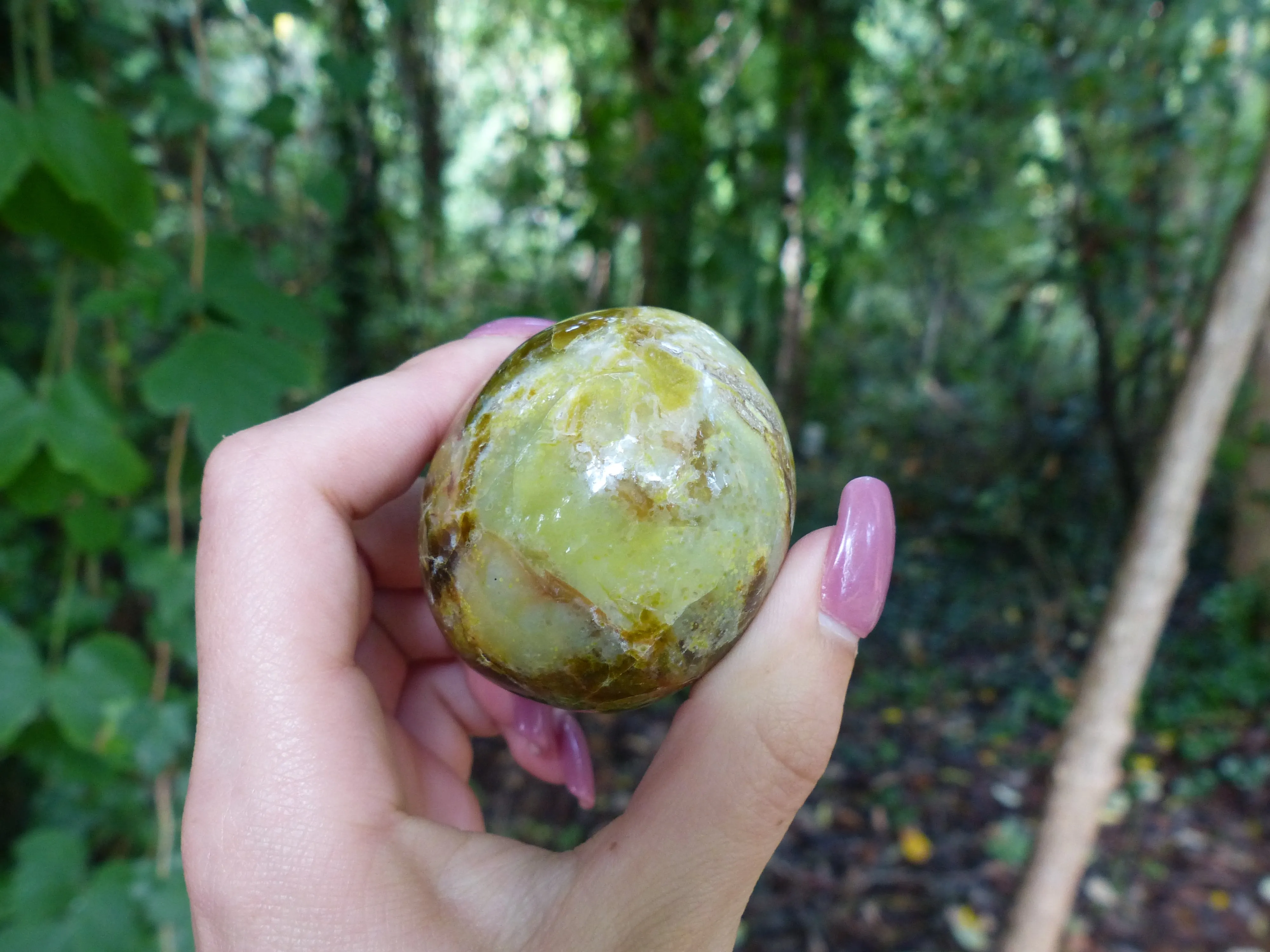 Green Opal Palm Stone (#7)