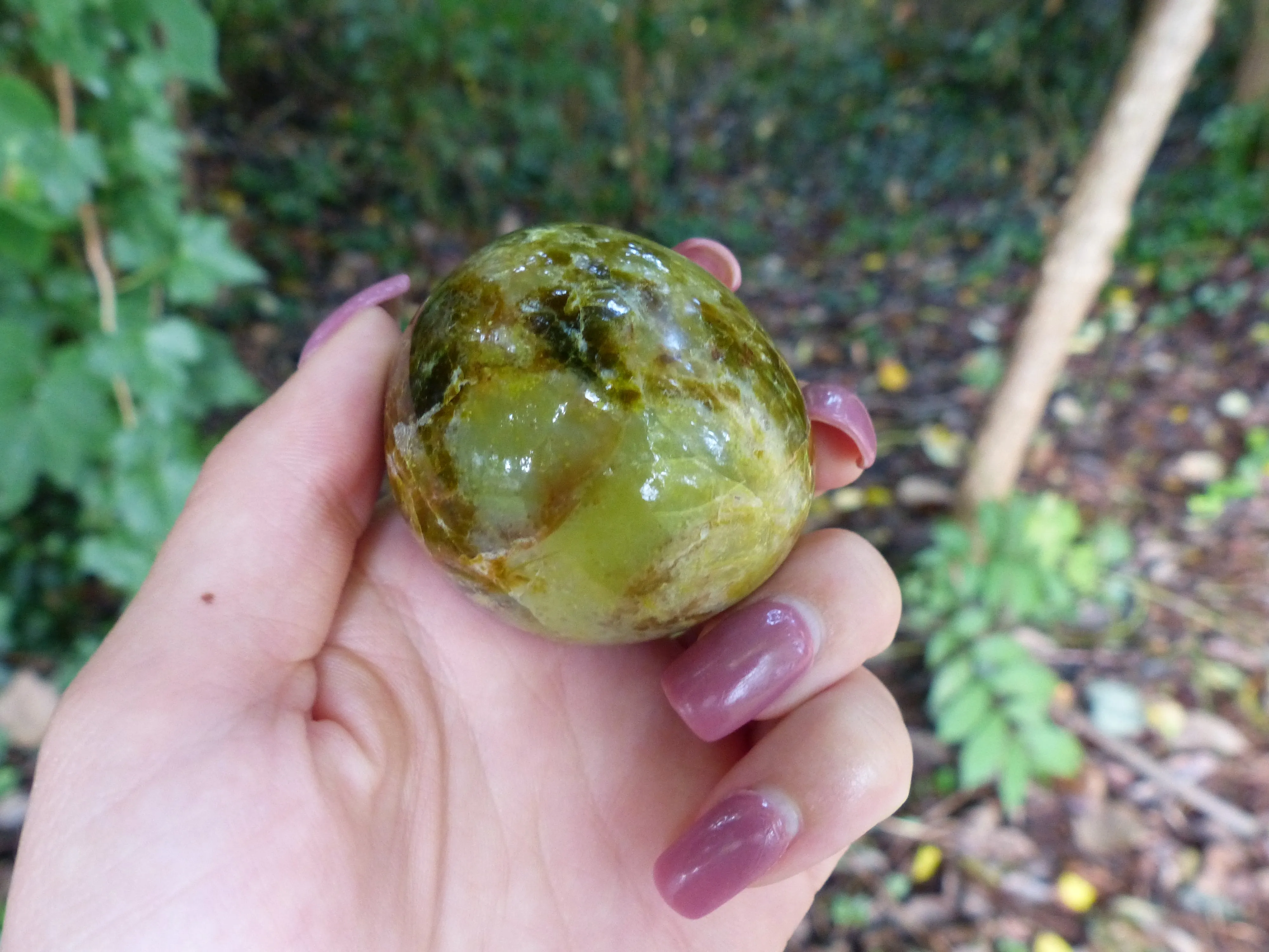 Green Opal Palm Stone (#7)
