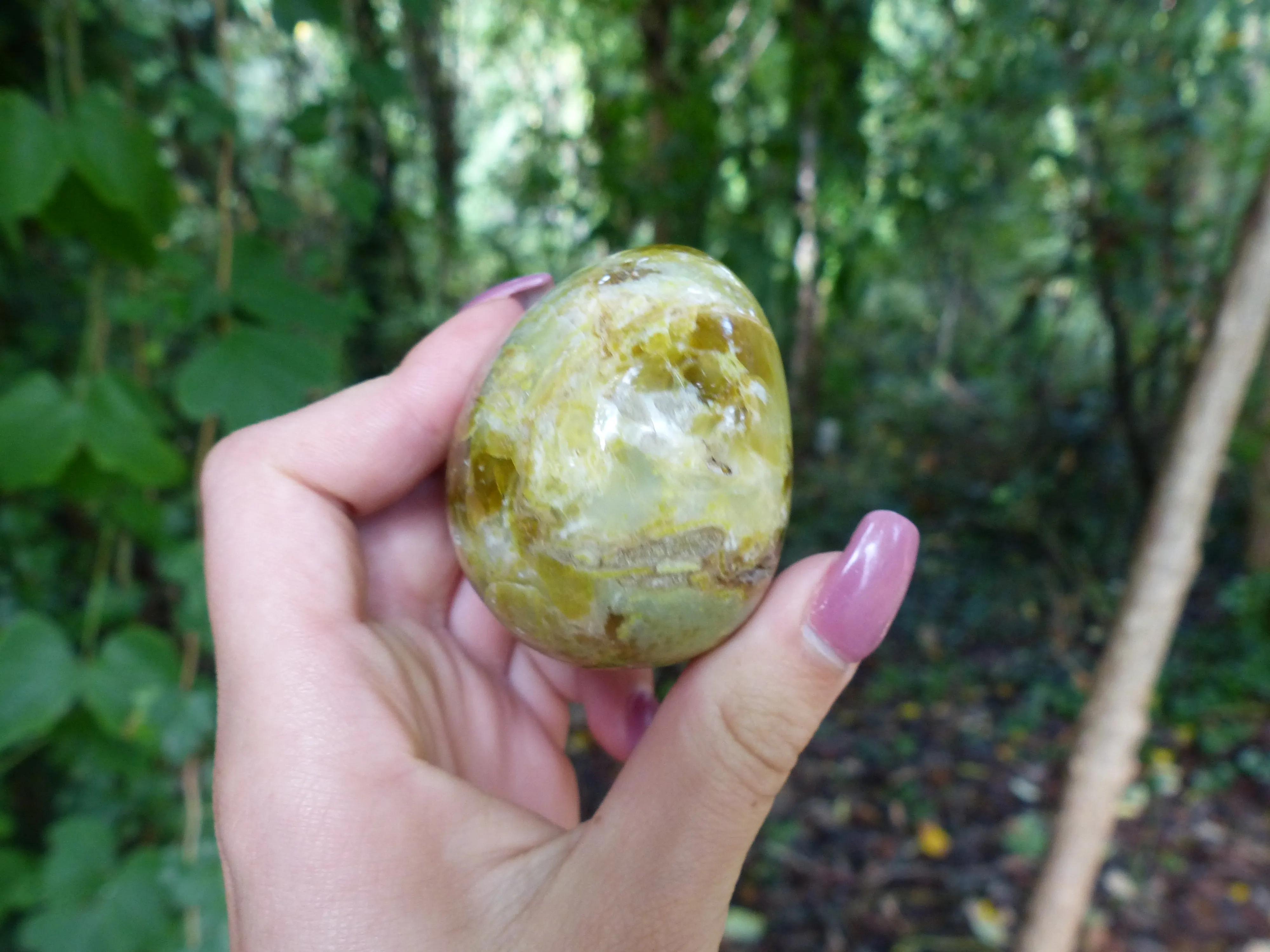 Green Opal Palm Stone (#7)