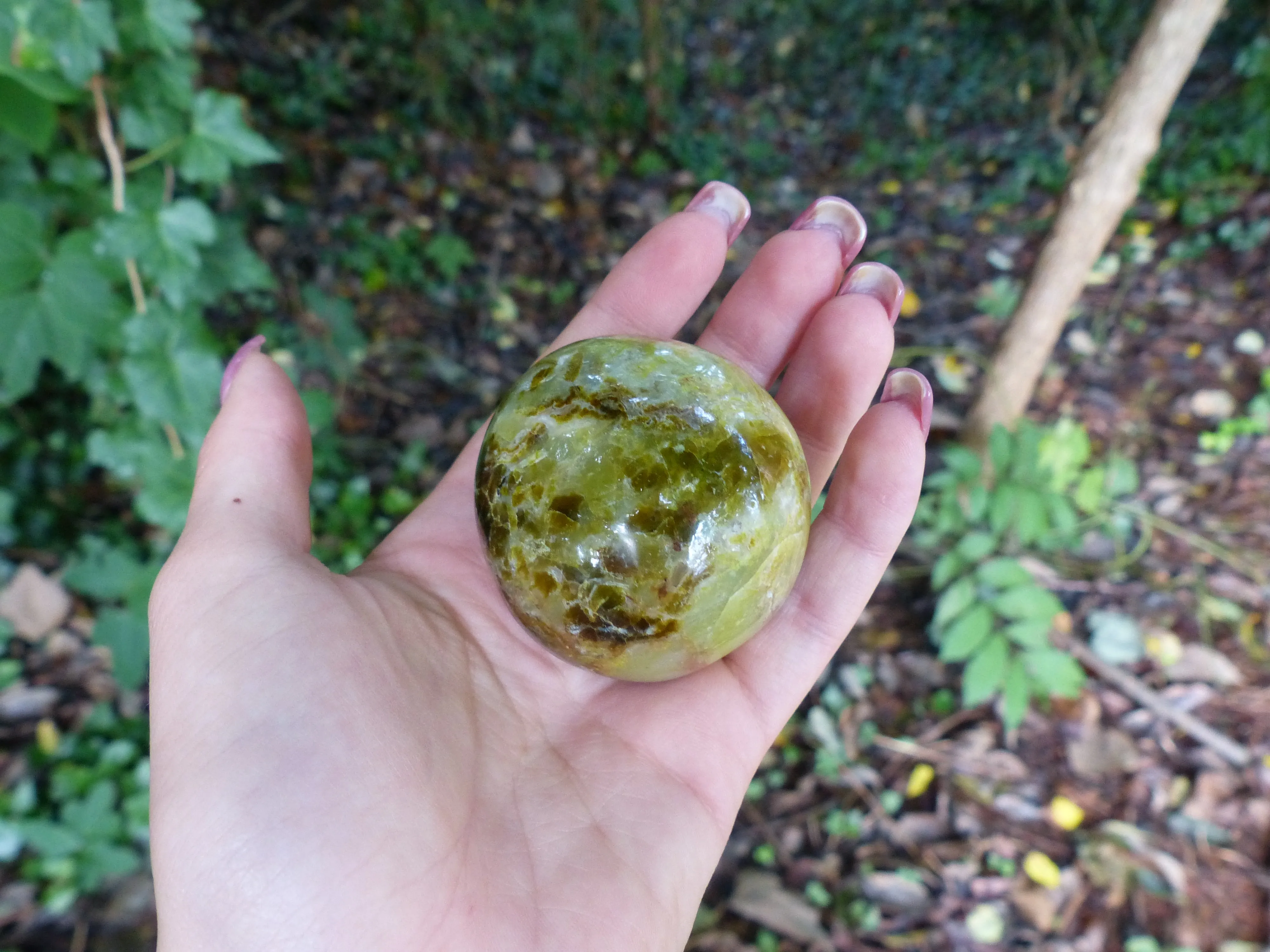 Green Opal Palm Stone (#7)