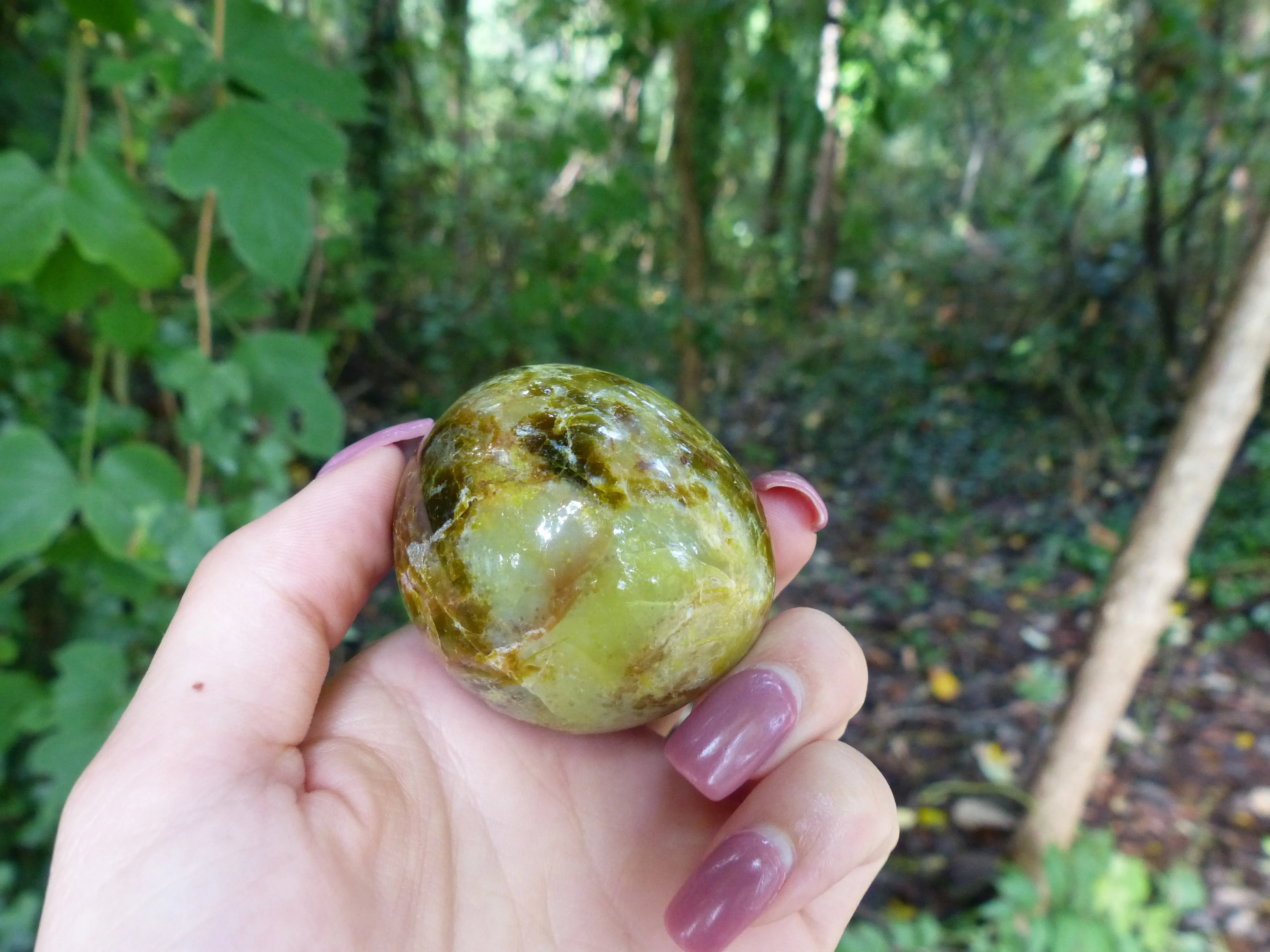 Green Opal Palm Stone (#7)