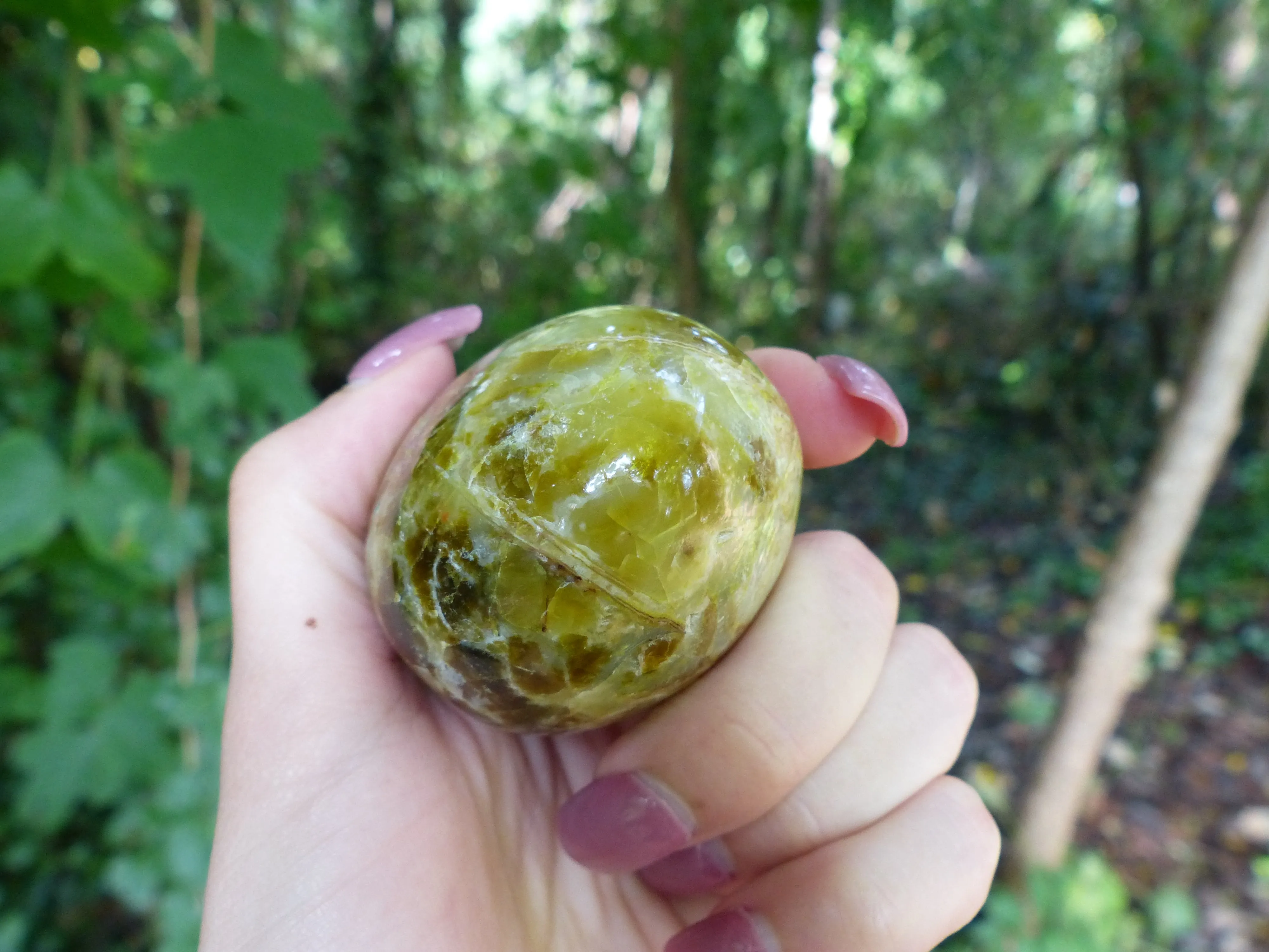 Green Opal Palm Stone (#7)