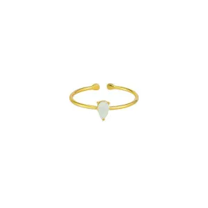 Jolie & Deen Mesi Ring - Gold