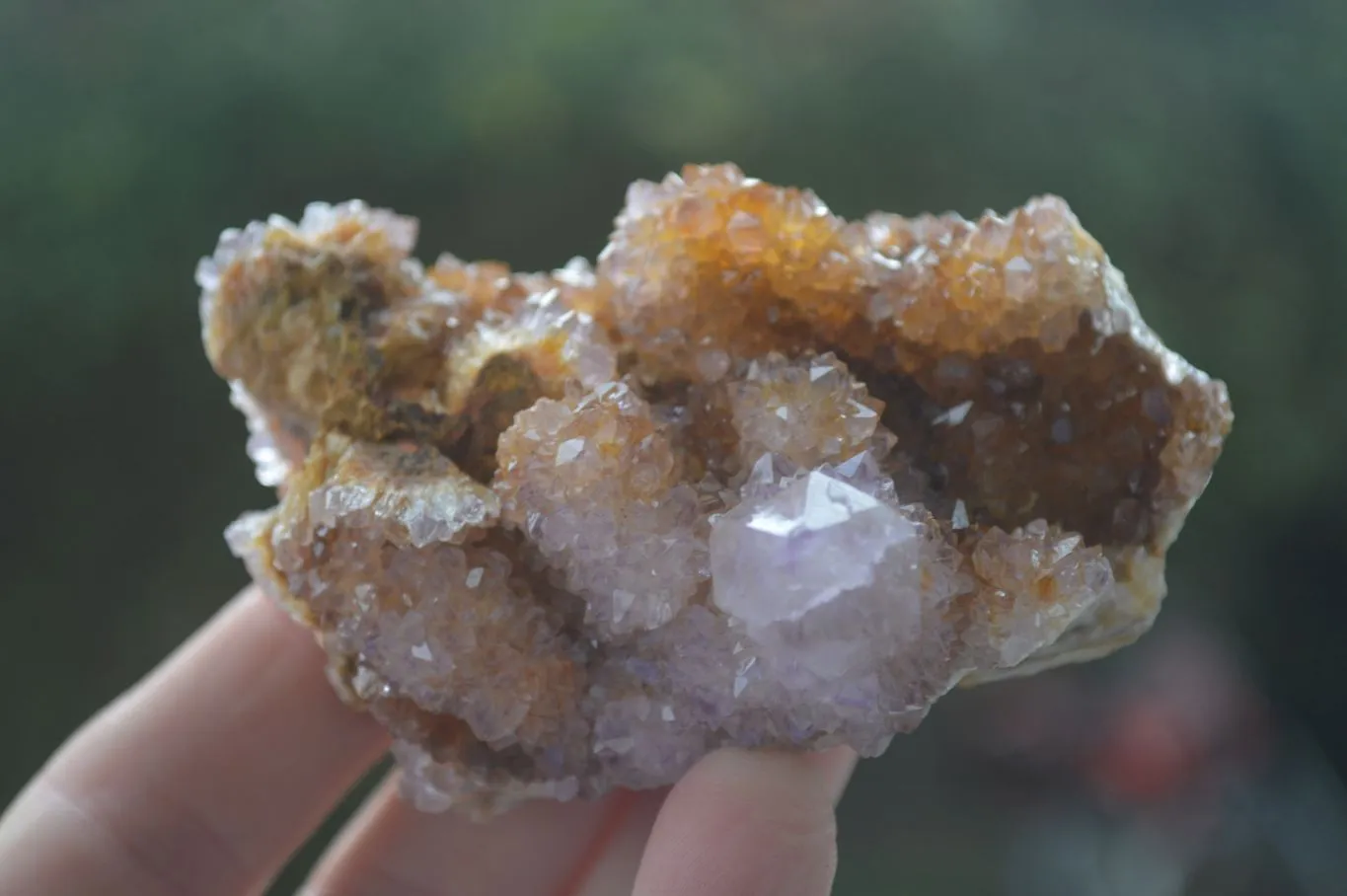 Natural Rare Spirit Ametrine Quartz Specimens x 6 From Boekenhouthoek, South Africa