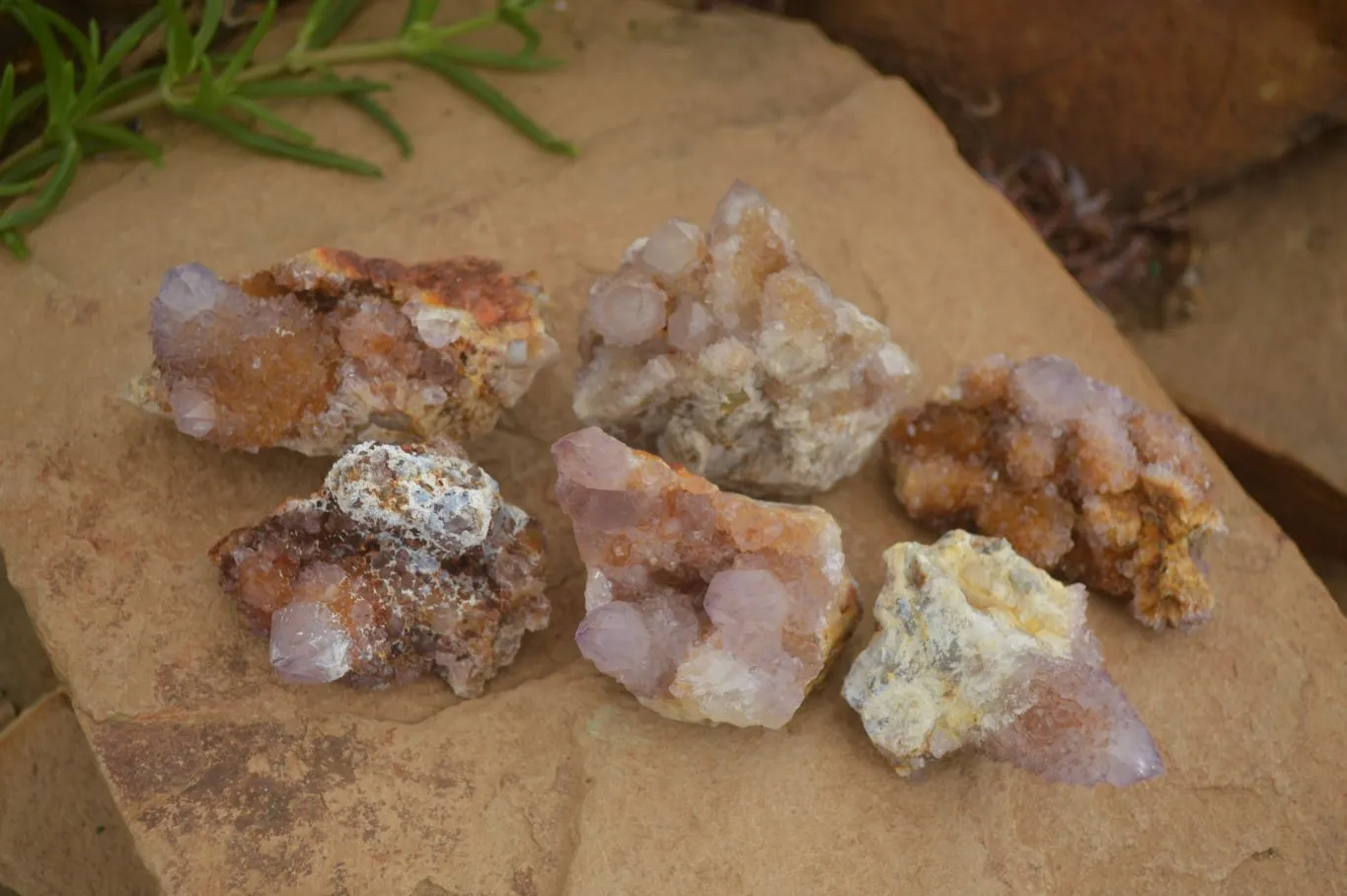 Natural Rare Spirit Ametrine Quartz Specimens x 6 From Boekenhouthoek, South Africa