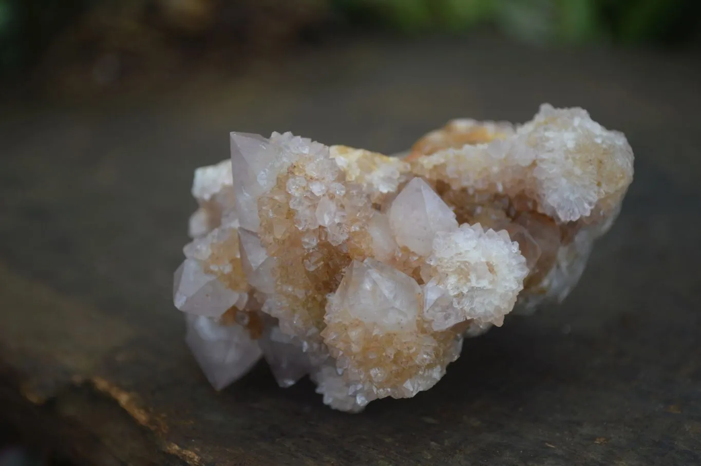 Natural Rare Spirit Ametrine Quartz Specimens x 6 From Boekenhouthoek, South Africa