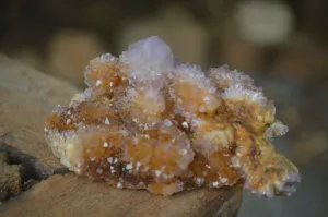 Natural Rare Spirit Ametrine Quartz Specimens x 6 From Boekenhouthoek, South Africa