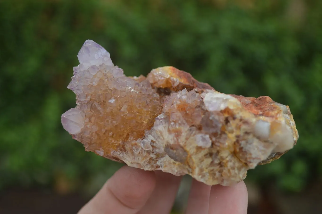 Natural Rare Spirit Ametrine Quartz Specimens x 6 From Boekenhouthoek, South Africa