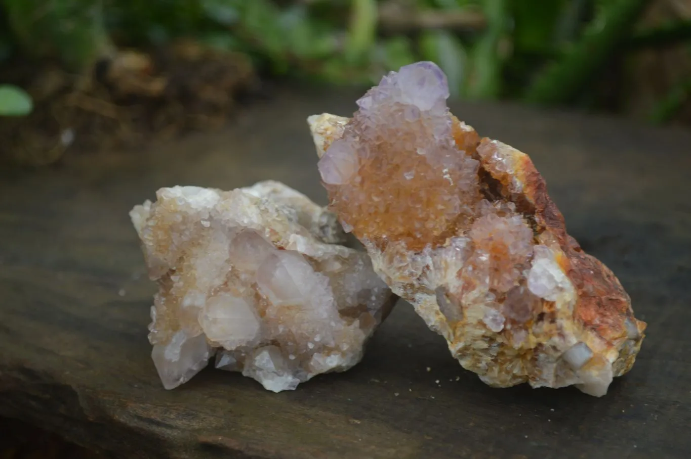 Natural Rare Spirit Ametrine Quartz Specimens x 6 From Boekenhouthoek, South Africa