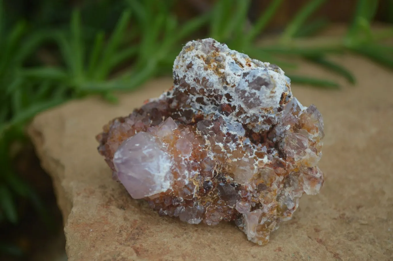 Natural Rare Spirit Ametrine Quartz Specimens x 6 From Boekenhouthoek, South Africa