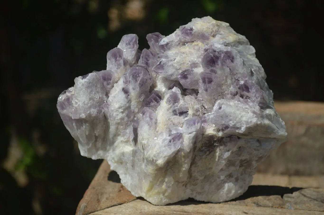 Natural Sugar Amethyst Quartz Cluster  x 1 From Zambia