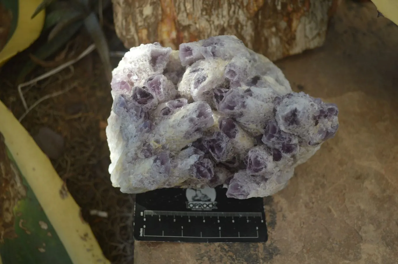 Natural Sugar Amethyst Quartz Cluster  x 1 From Zambia