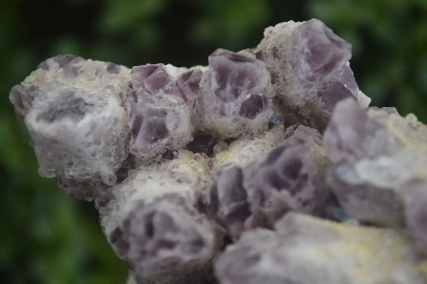 Natural Sugar Amethyst Quartz Cluster  x 1 From Zambia