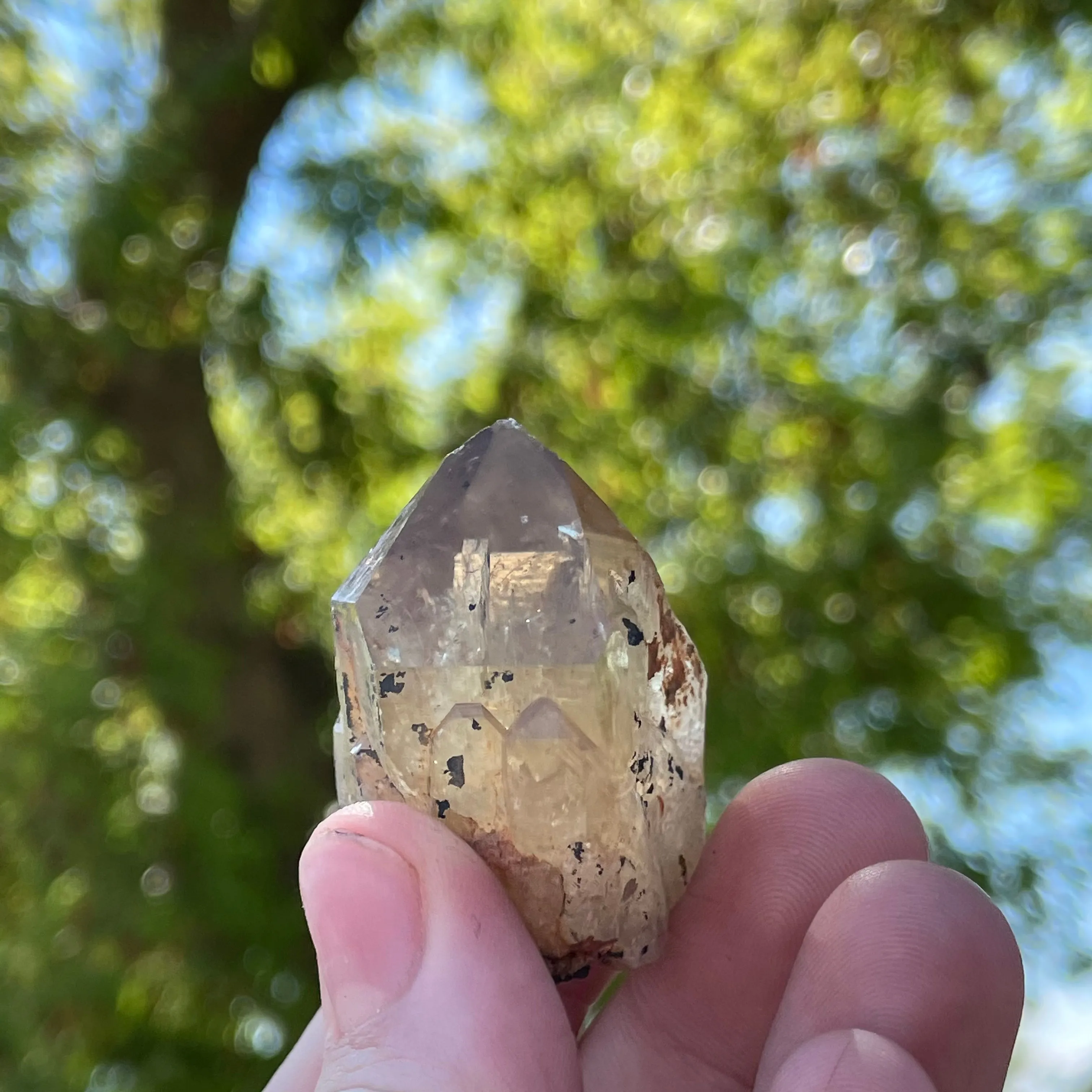 Over 1lb Lot of Kundalini Quartz Citrine, Democratic Republic of Congo, Lwena, Congo Citrine