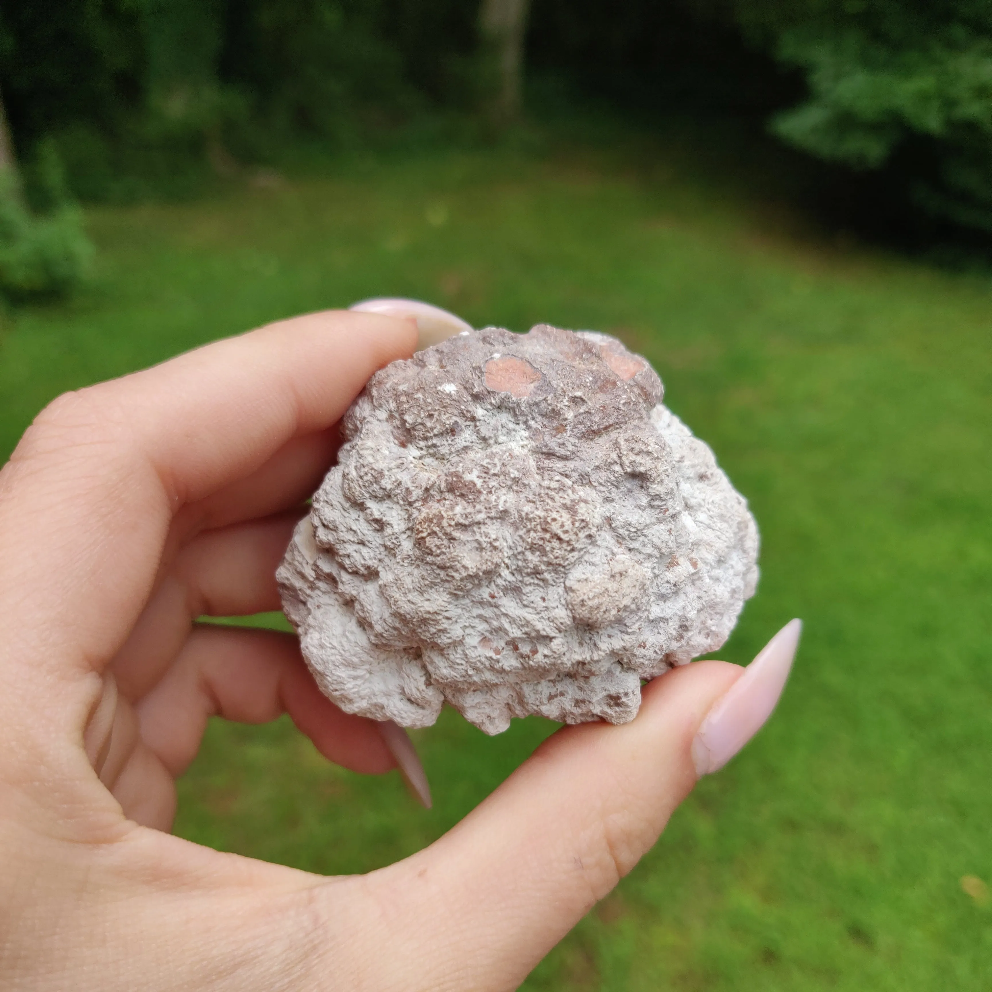Pink Amethyst Geode  (#J2)