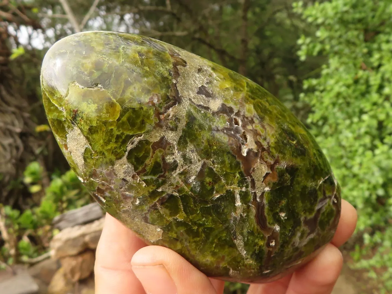 Polished Green Opal Standing Free Forms  x 3 From Madagascar