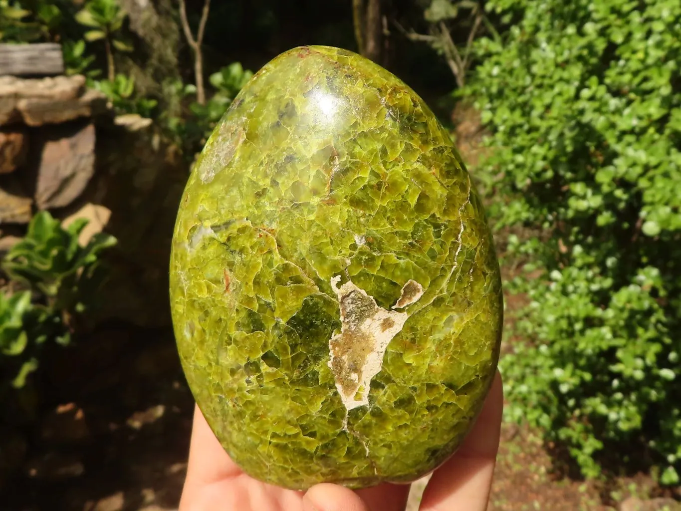 Polished Green Opal Standing Free Forms  x 3 From Madagascar